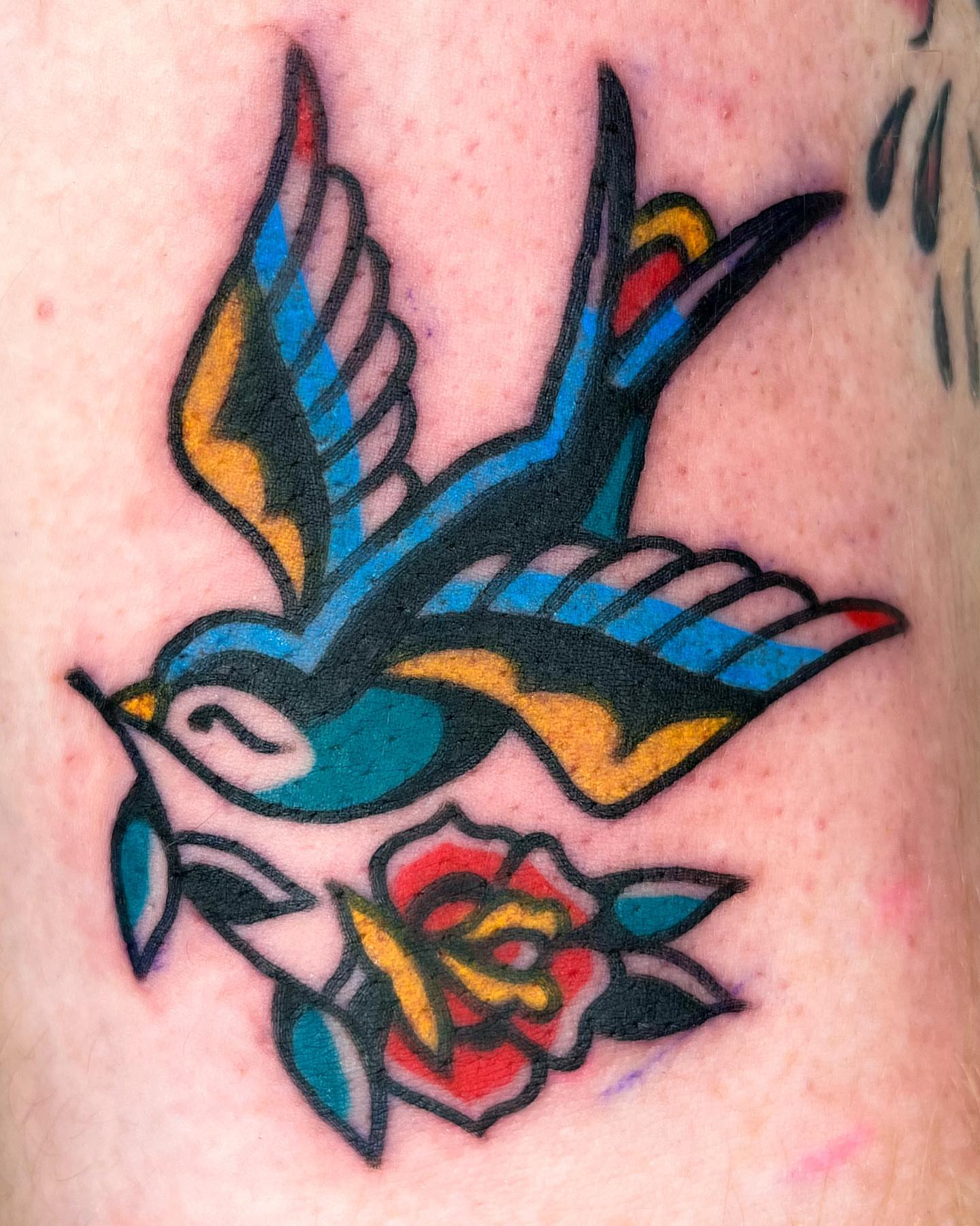 Swallow and rose American traditional tattoo on the thigh by Oldschool Tattooer Takii 타키