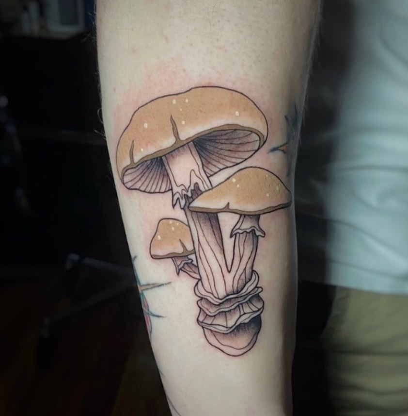 Mushrooms realism tattoo on the forearm by Alicia
