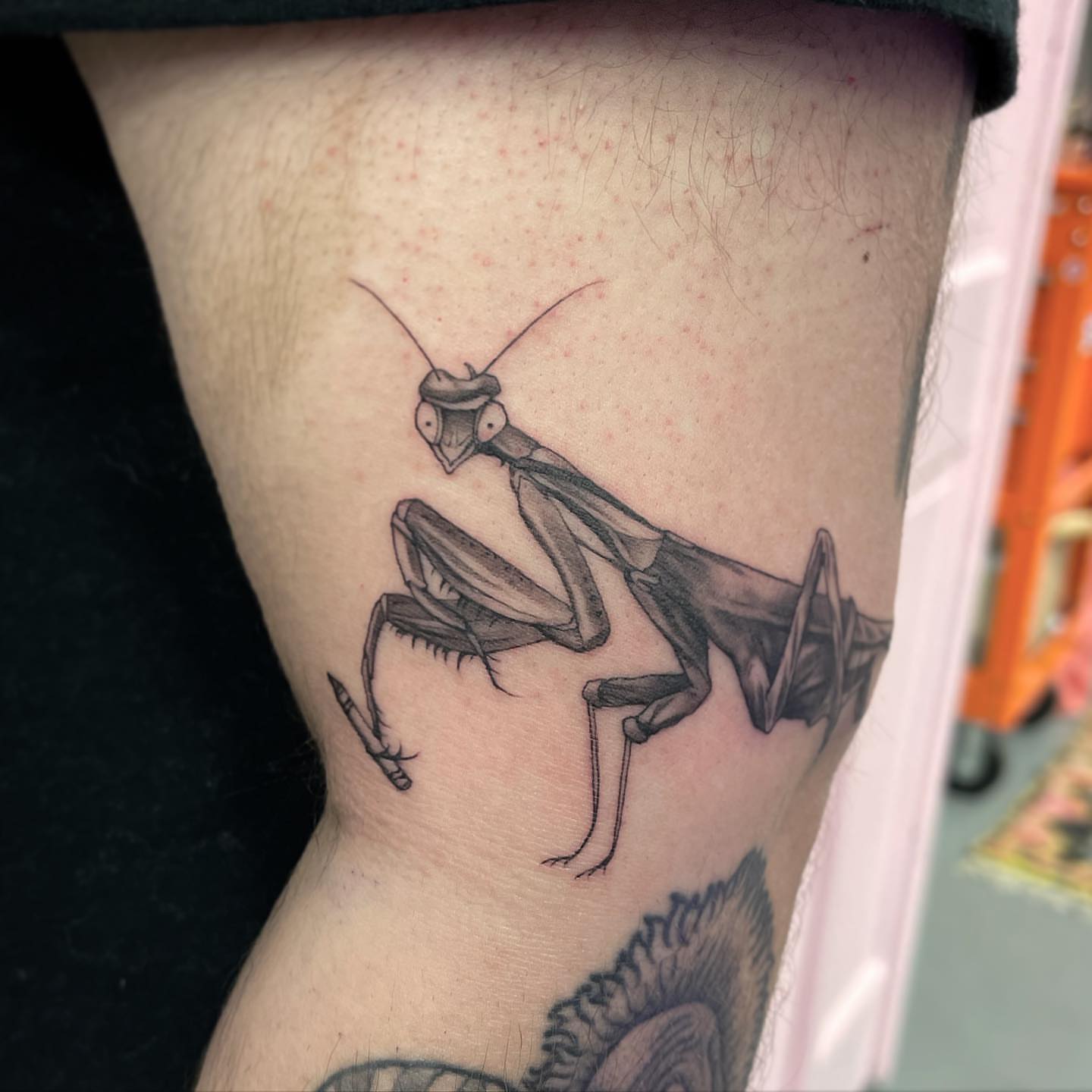 Praying mantis black and grey tattoo on the forearm by π‘πΆπΈπ½ππ ππΎππππ