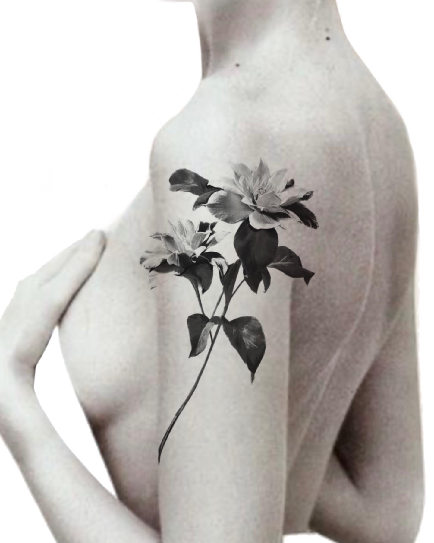 Flower black and grey tattoo on the chest by Oori