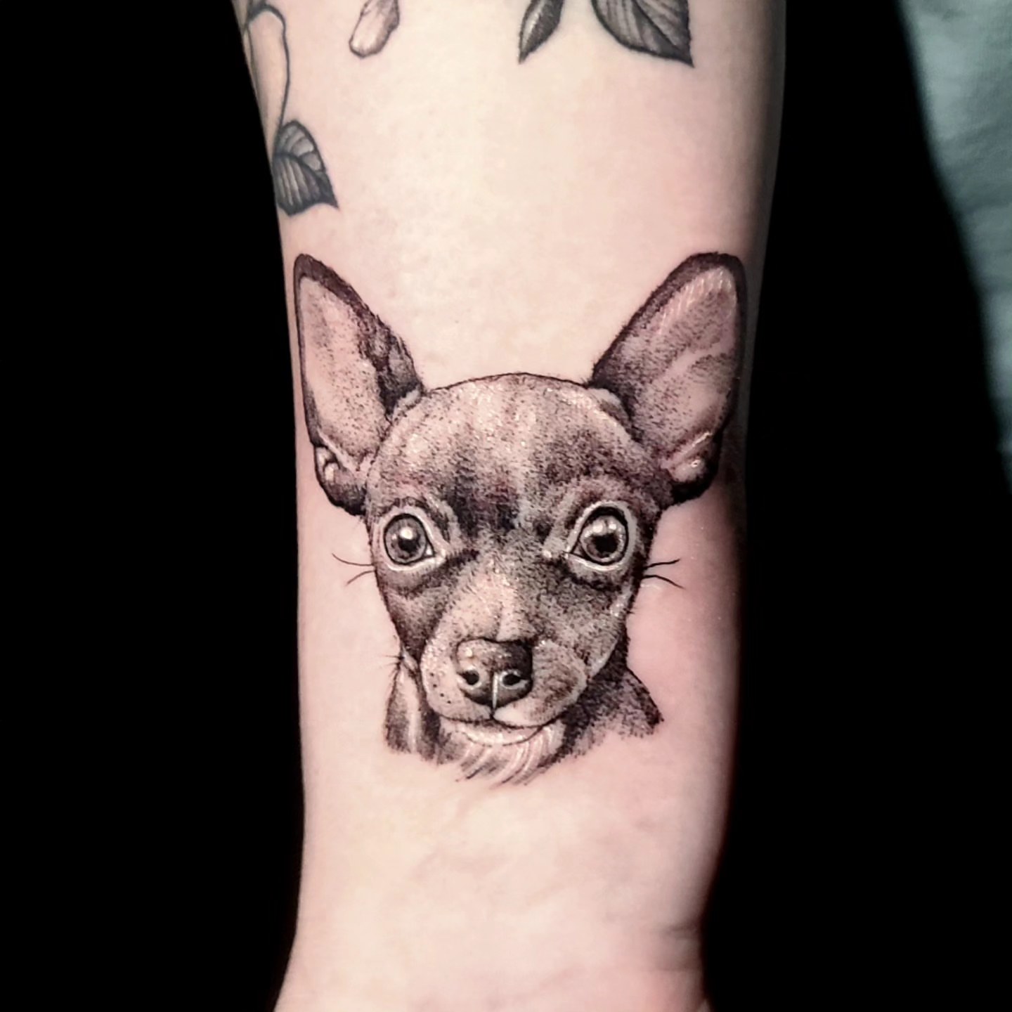 Chihuahua dotwork tattoo on the forearm by Sydney Paige, Mentor, Ohio