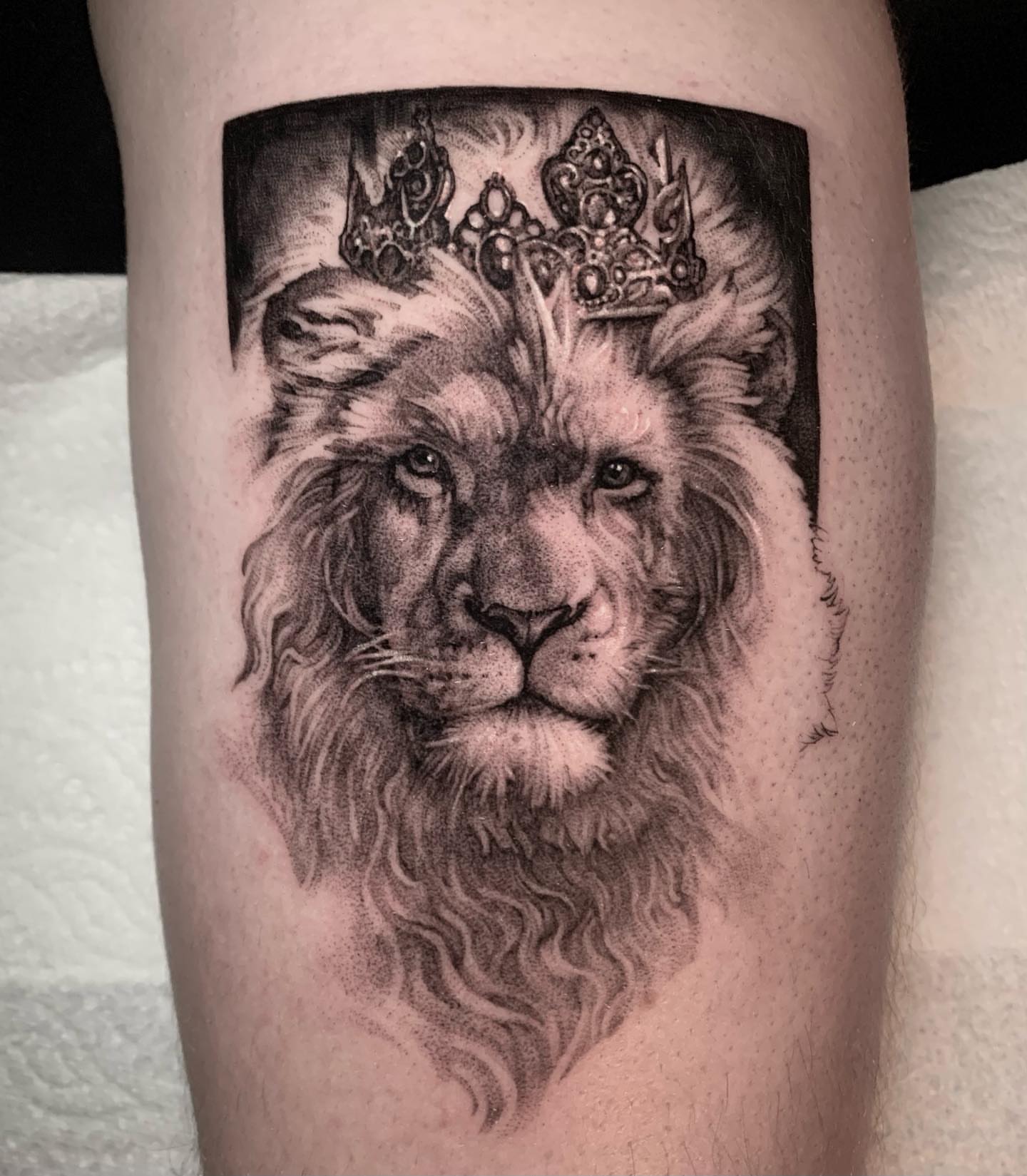 Tattoo by @roveink — dotwork, realism