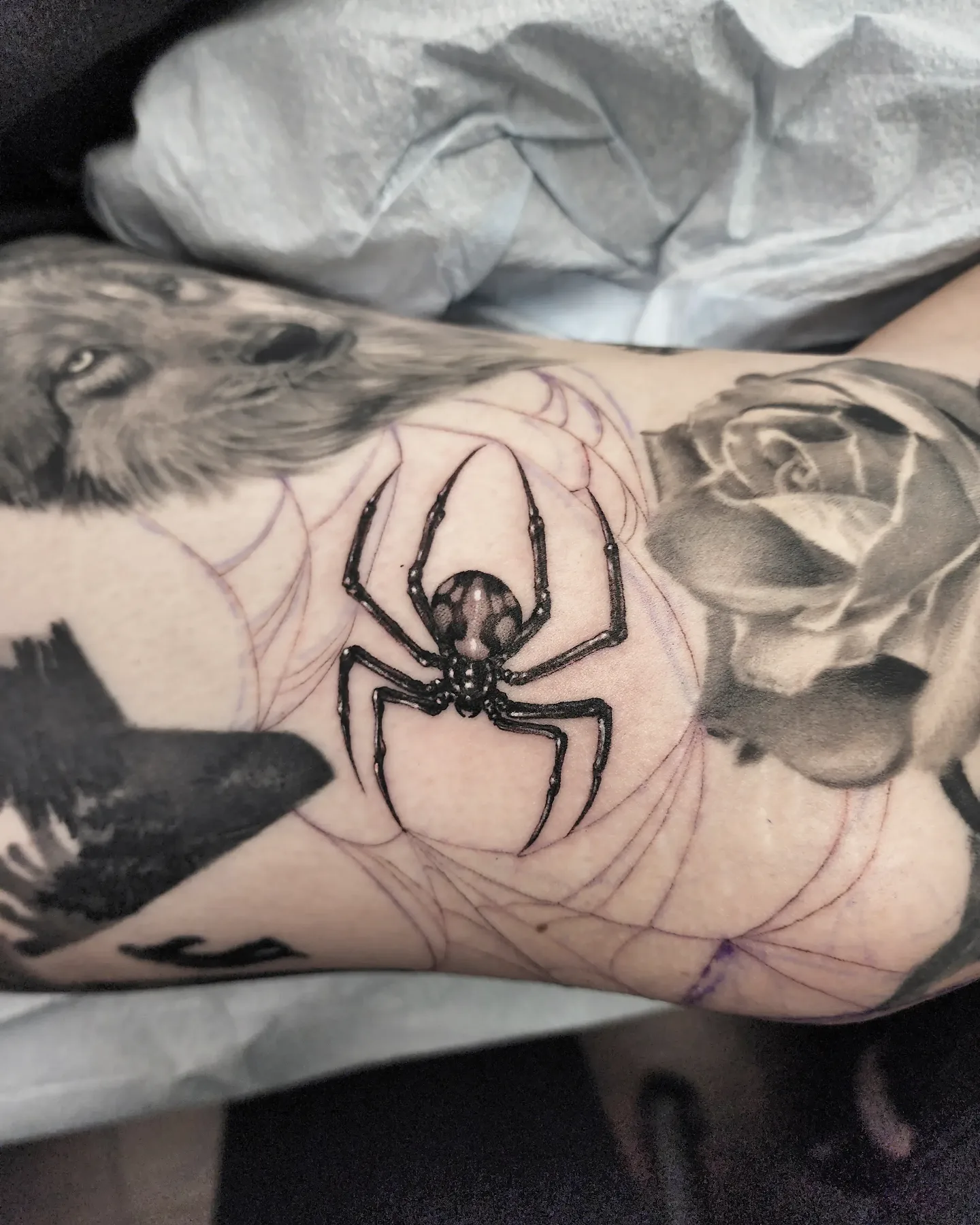 Spider black and grey tattoo on the forearm by Dani Ryan