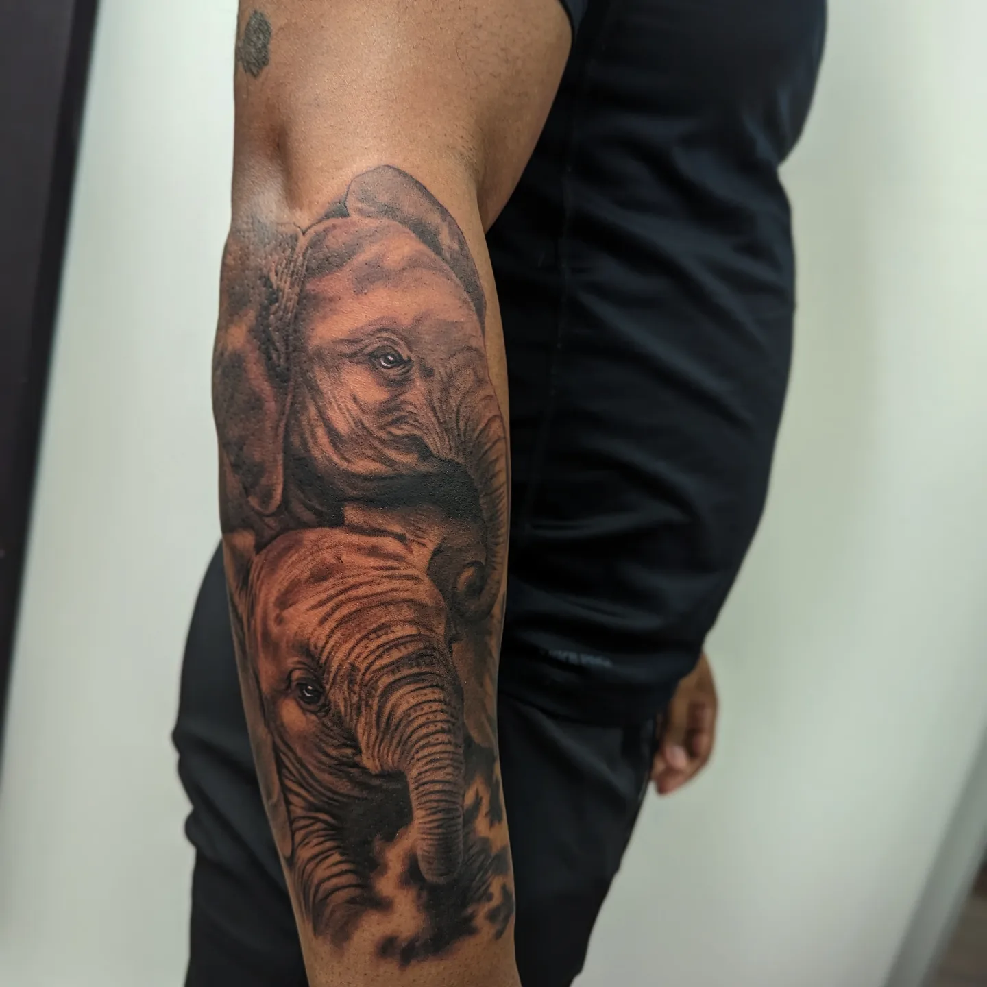 Elephants realism tattoo on the forearm by Sean Costello