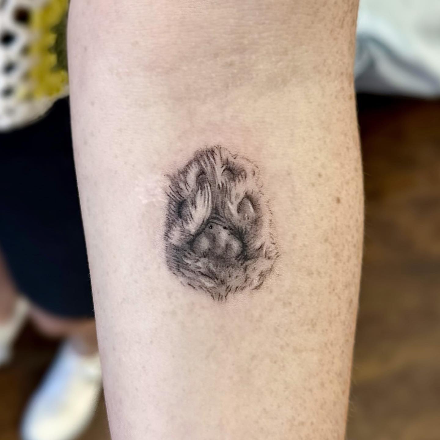 Cat realism tattoo on the forearm by Oxana