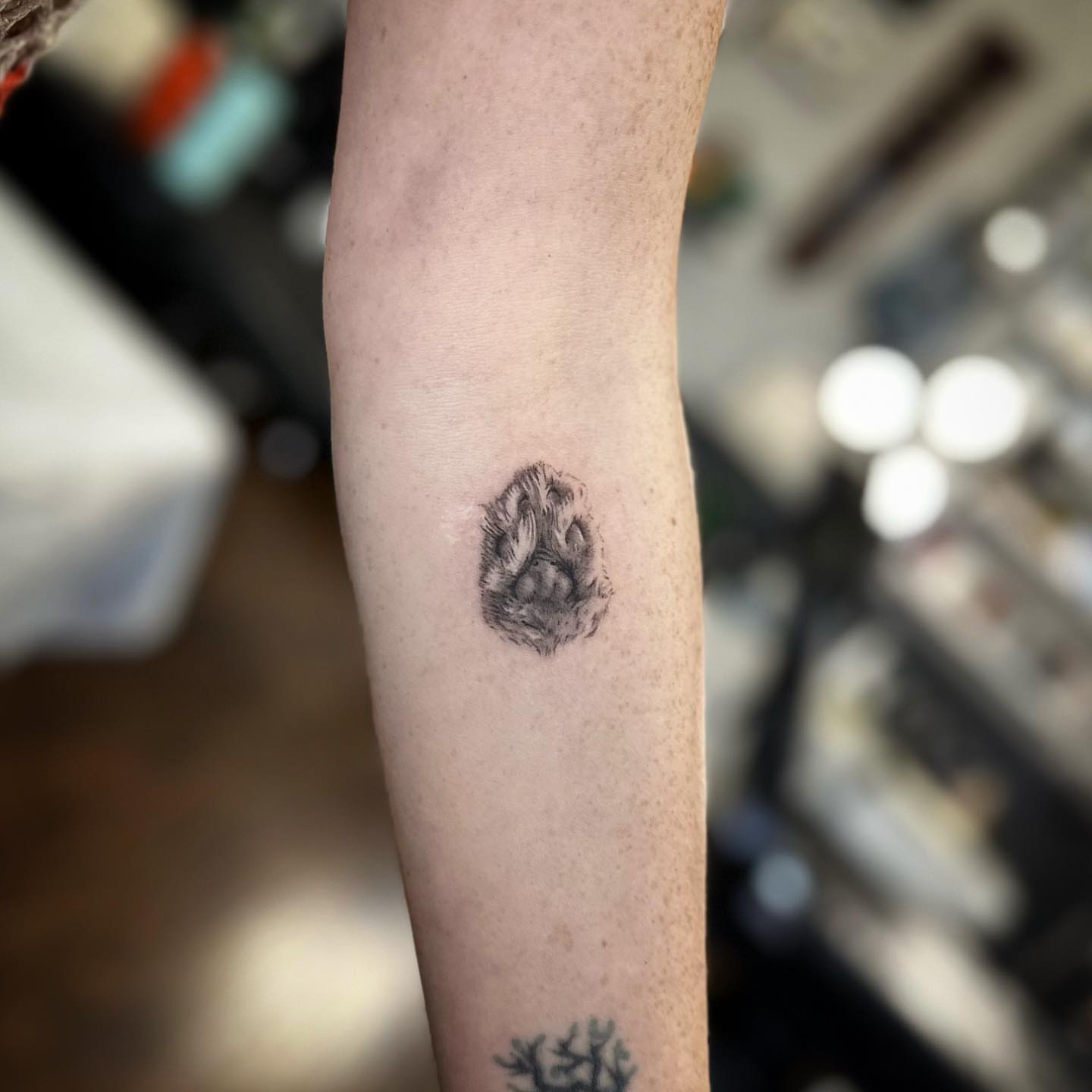 Bear paw print dotwork tattoo on the forearm by Oxana