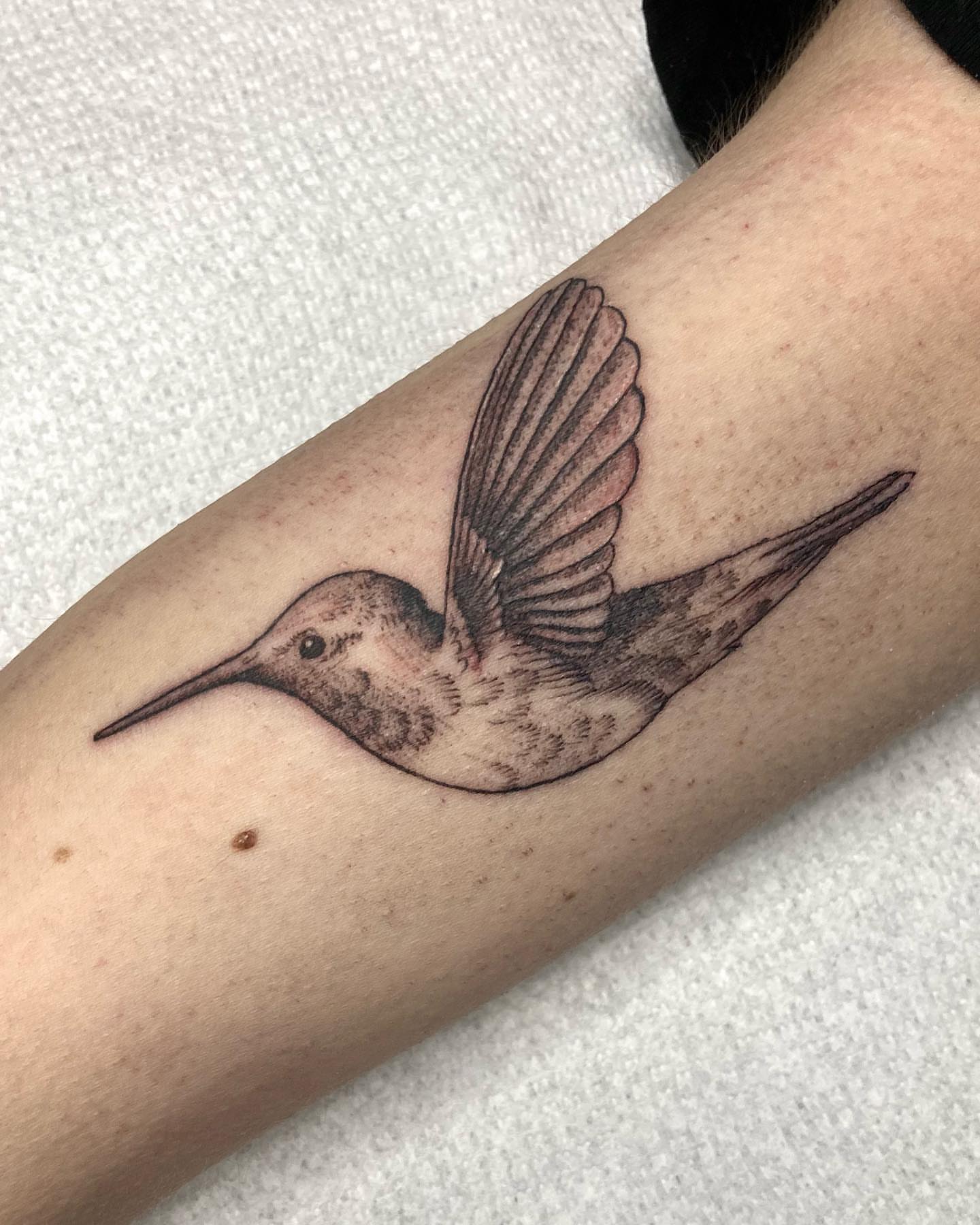 Hummingbird realism tattoo on the forearm by Hali Larkin