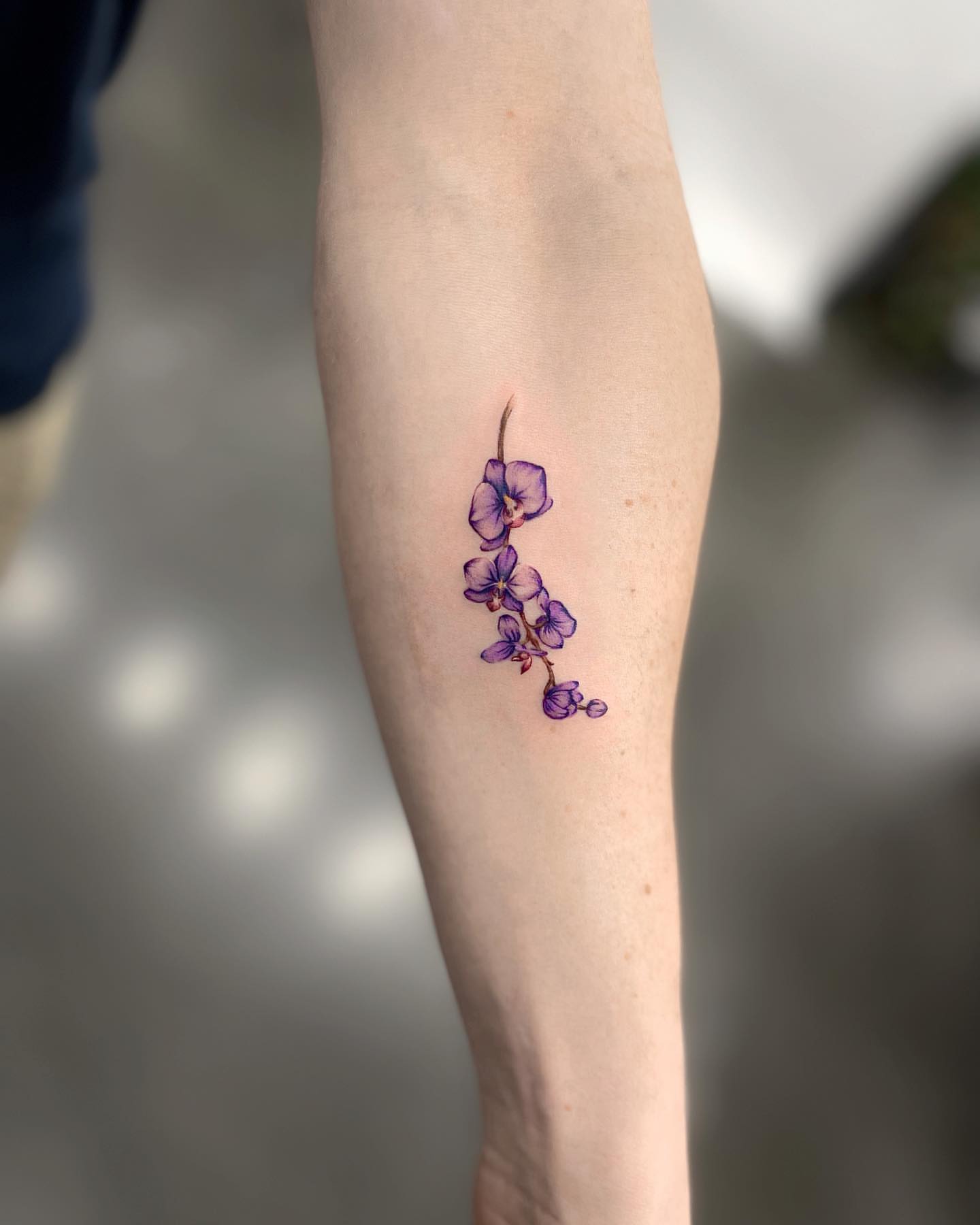 Orchid branch watercolor tattoo on the forearm by Seattle Tattoo Artist PingPing, Seattle, Washington