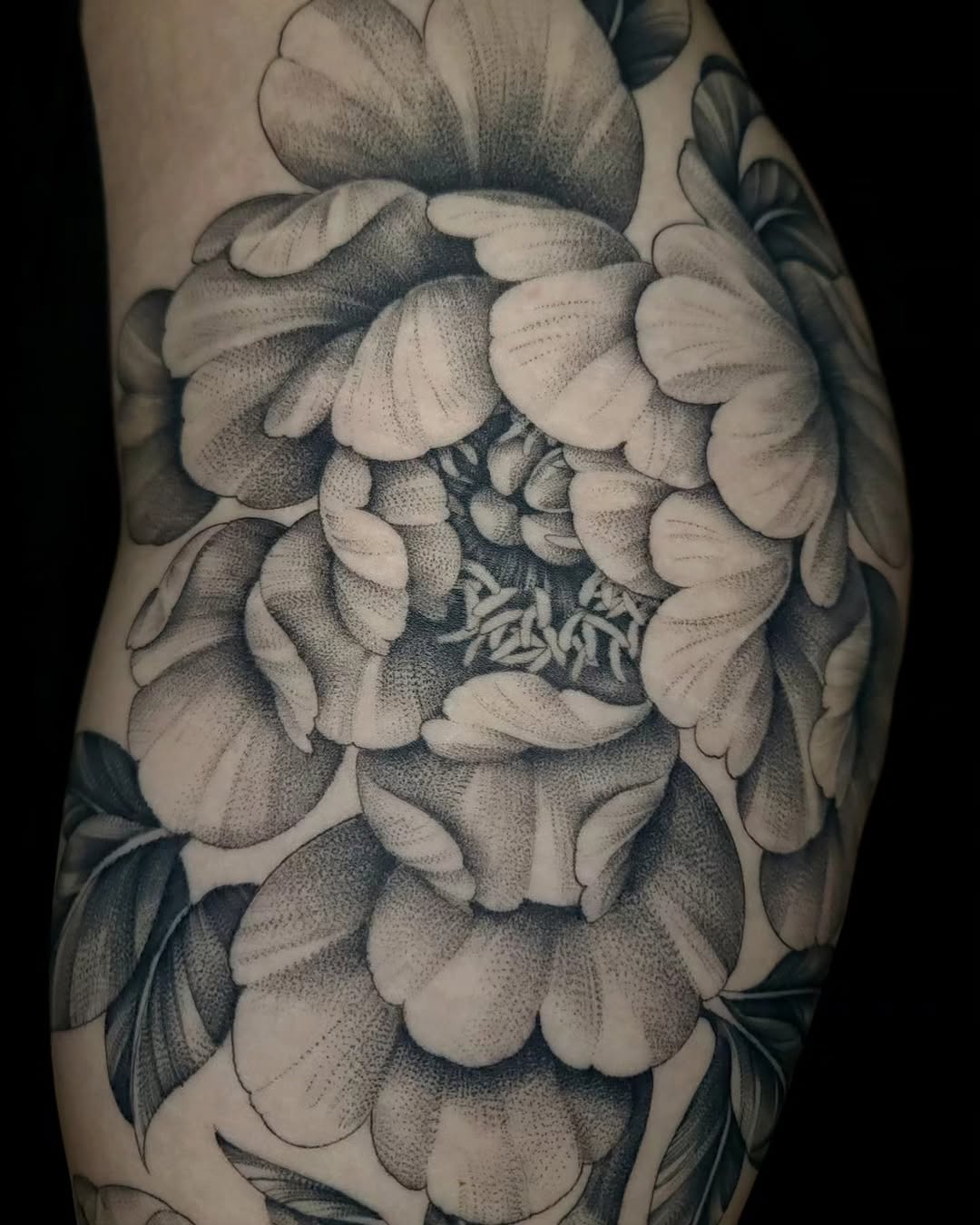 Tattoo by @jordanallredart — dotwork, black_and_grey
