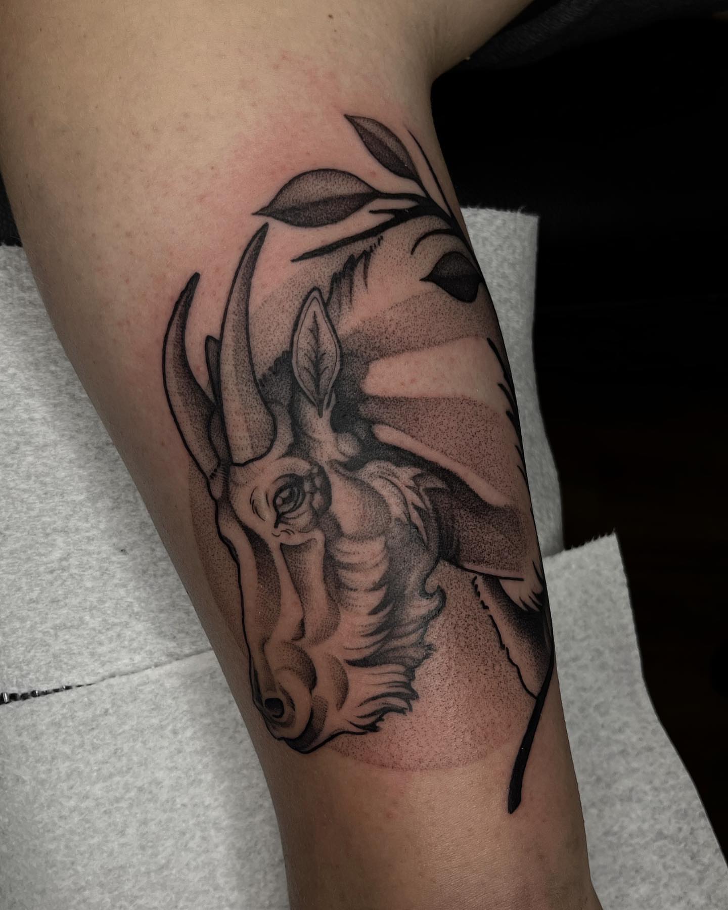Rhino head dotwork tattoo on the forearm by ✣ Liz Karn ✣