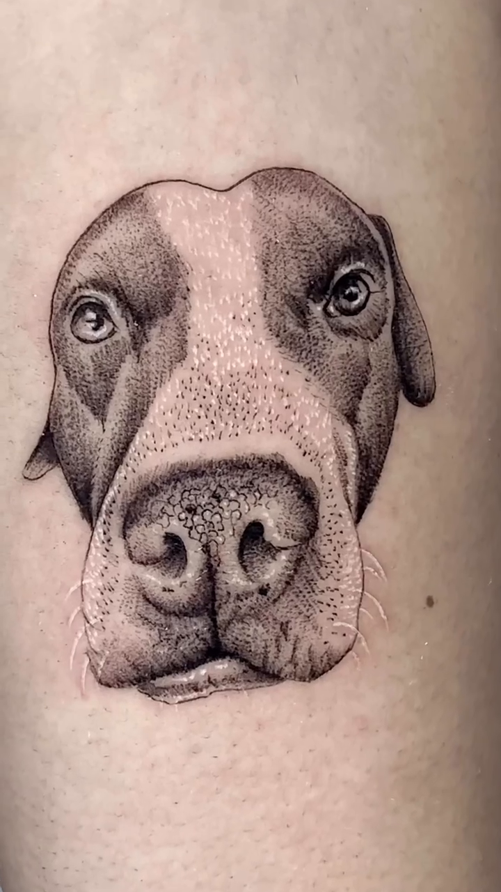 Dog portrait realism tattoo by Clayderman