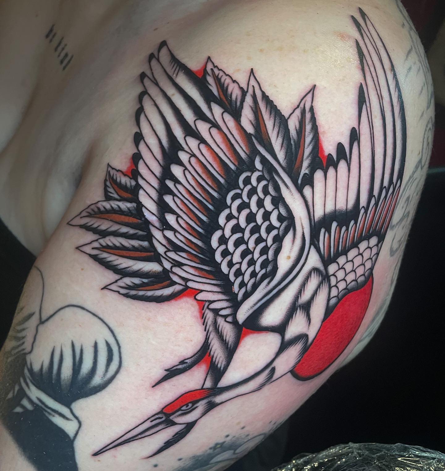 Woodpecker American traditional tattoo on the shoulder by Toulouse Noble, Portland, Oregon