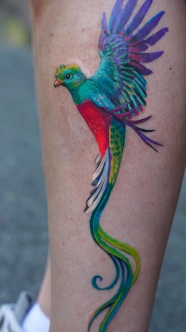 Quetzal bird realism tattoo by Sienna Coppa