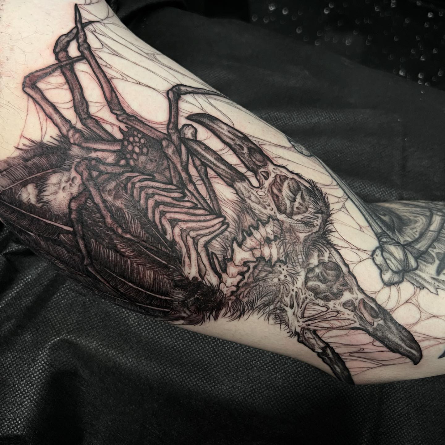 Bird skeleton realism tattoo on the forearm by Kyle Black