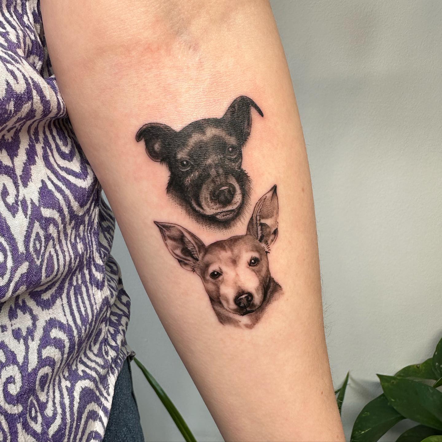 Tattoo by @artbyalyssacarbonara β realism