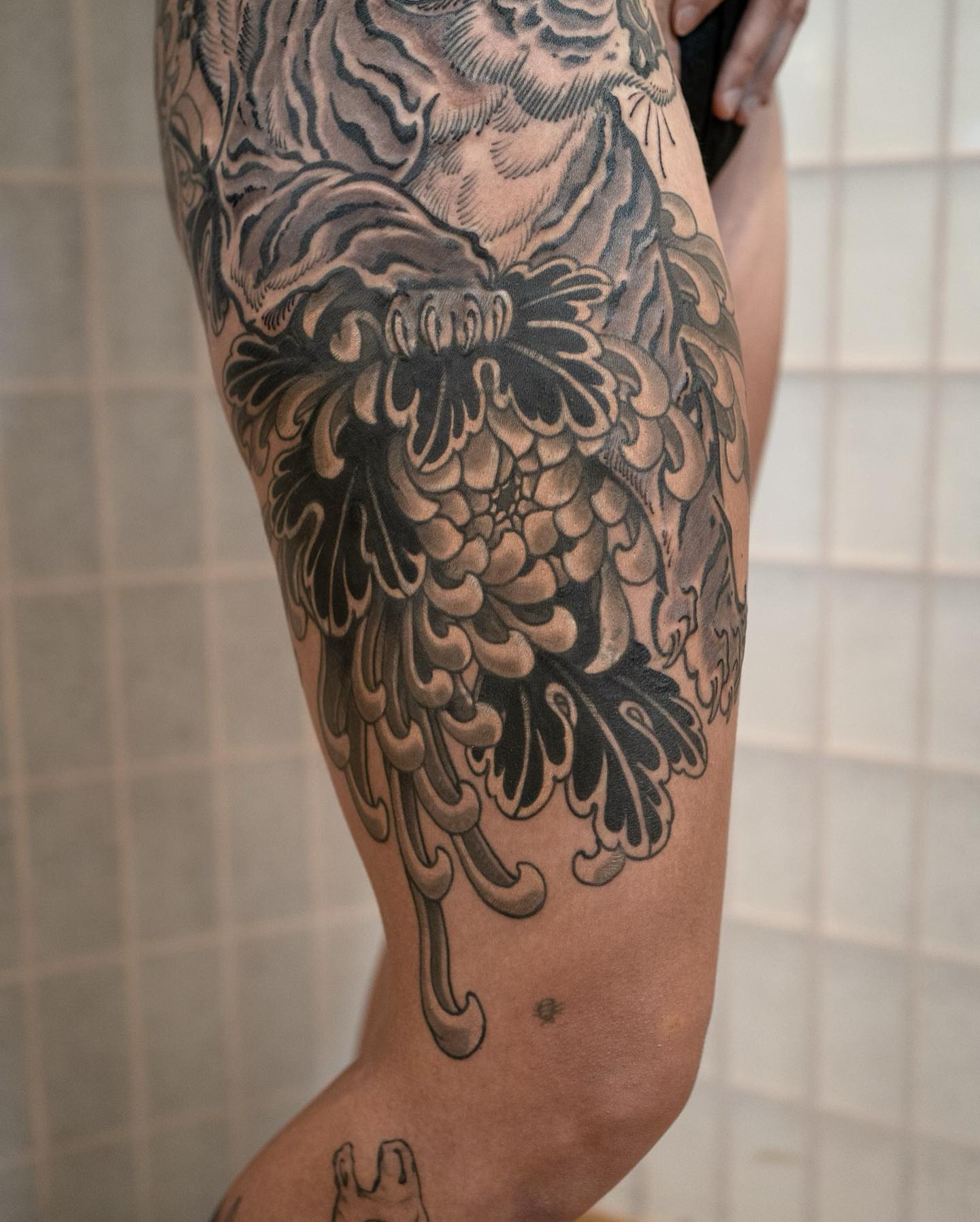 Chrysanthemum black and grey tattoo on the calf by Matt Leibo, San Francisco, California