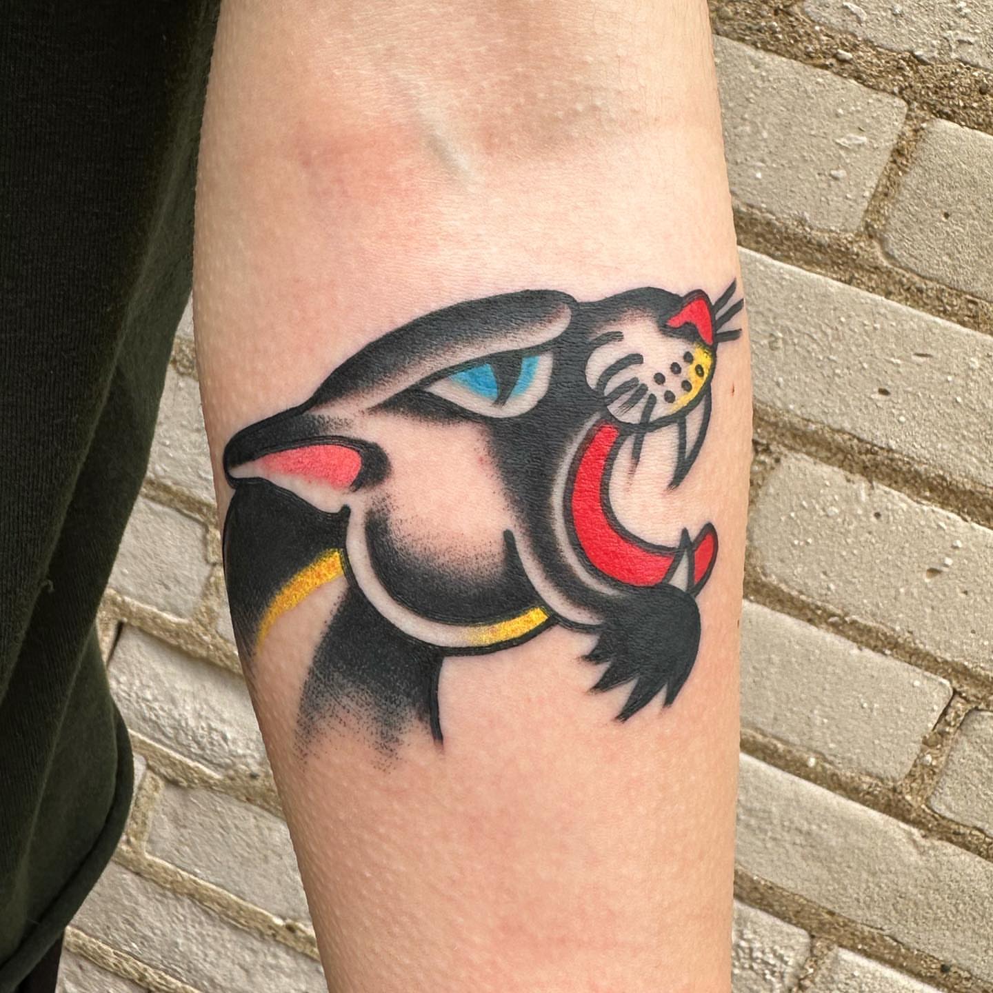 Cat American traditional tattoo on the forearm by Isaac Brethauer