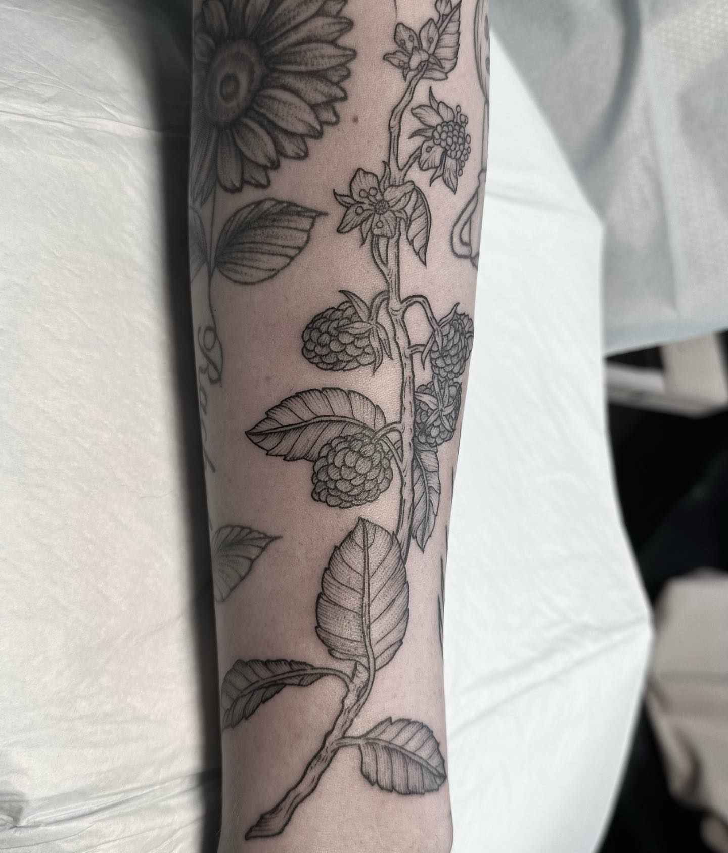 Raspberry plant realism tattoo on the forearm by Kirsten Marsden Ballantyne