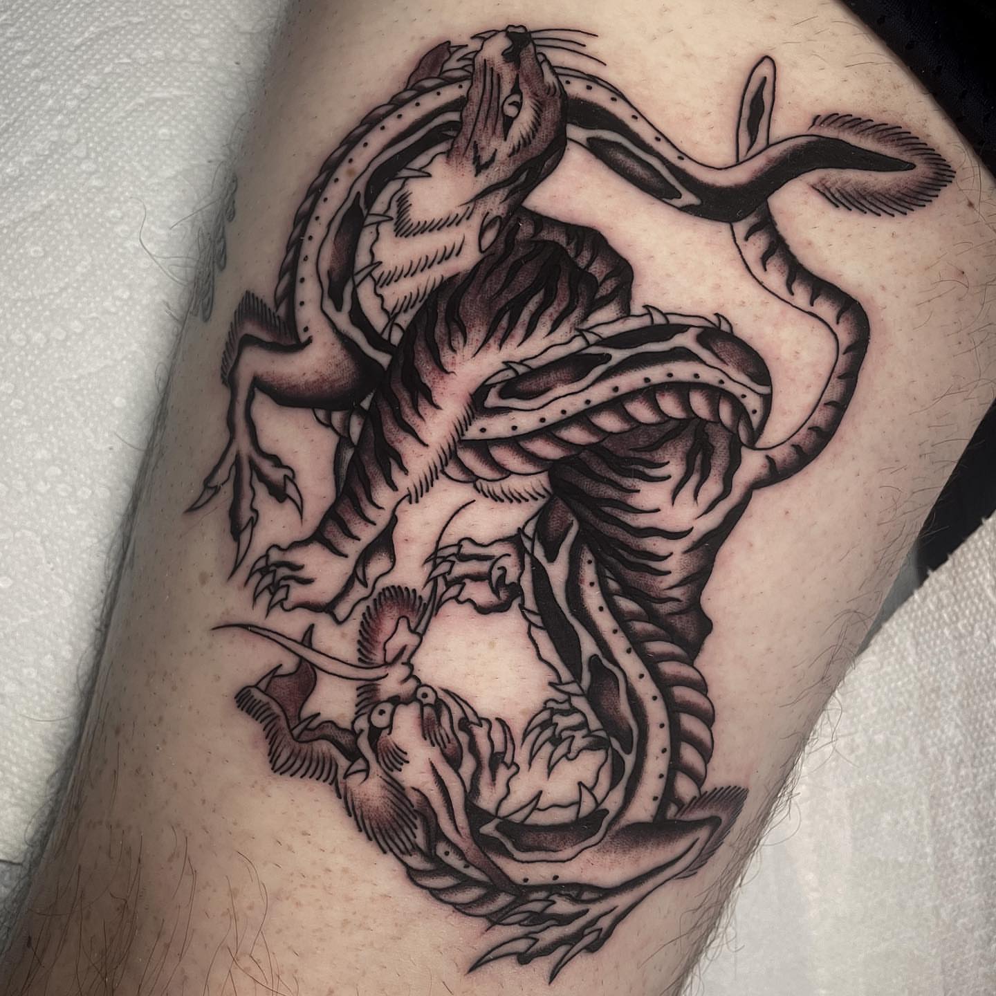Dragon black and grey tattoo on the forearm by Toulouse Noble, Portland, Oregon