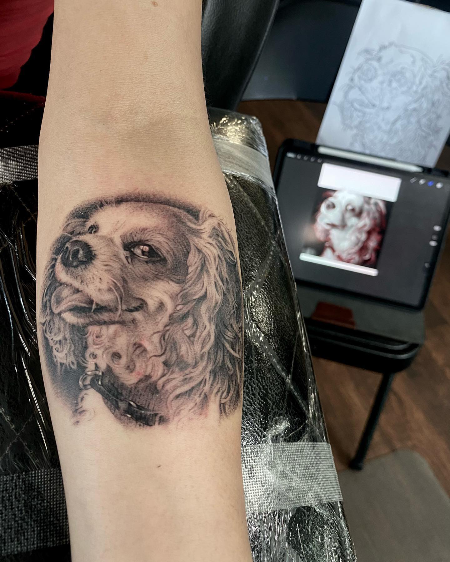 Dog realism tattoo on the forearm by D Benzo ~ San Diego Tattoo artist ~