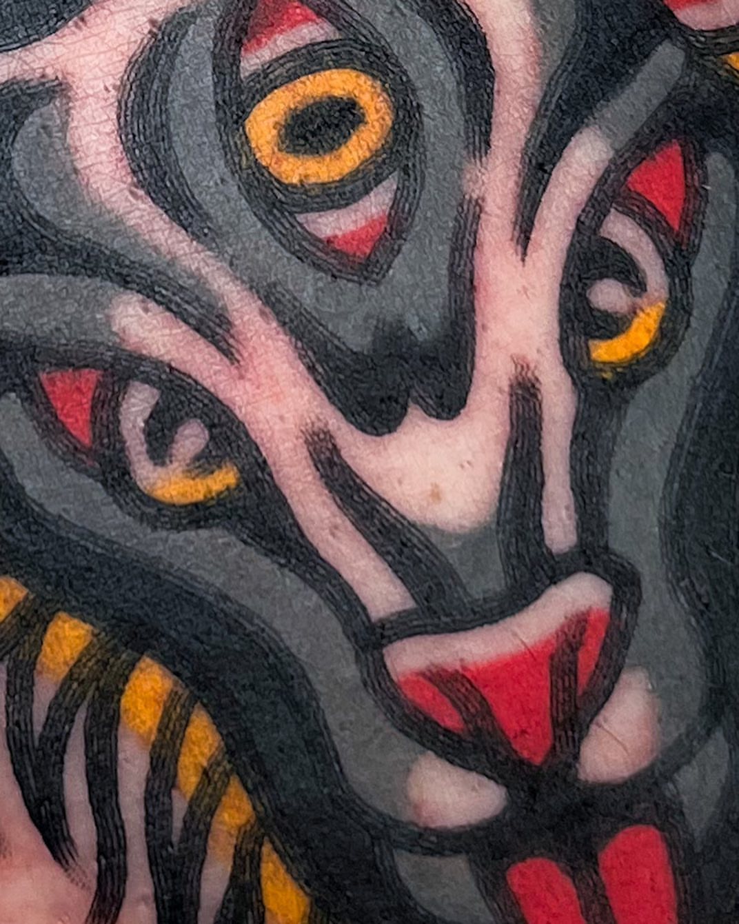 Tiger American traditional tattoo by Oldschool Tattooer Takii 타키