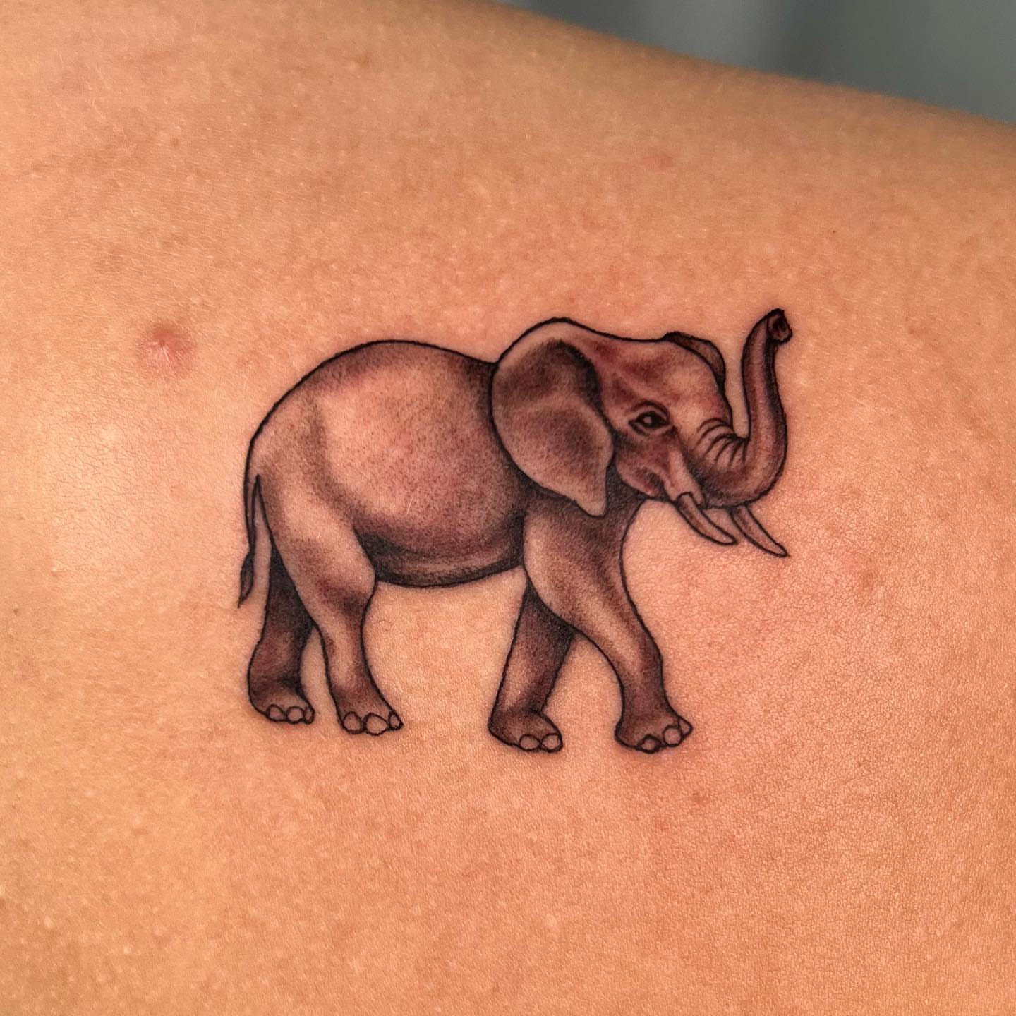 Elephant realism tattoo on the shoulder by Nikki Malfitano