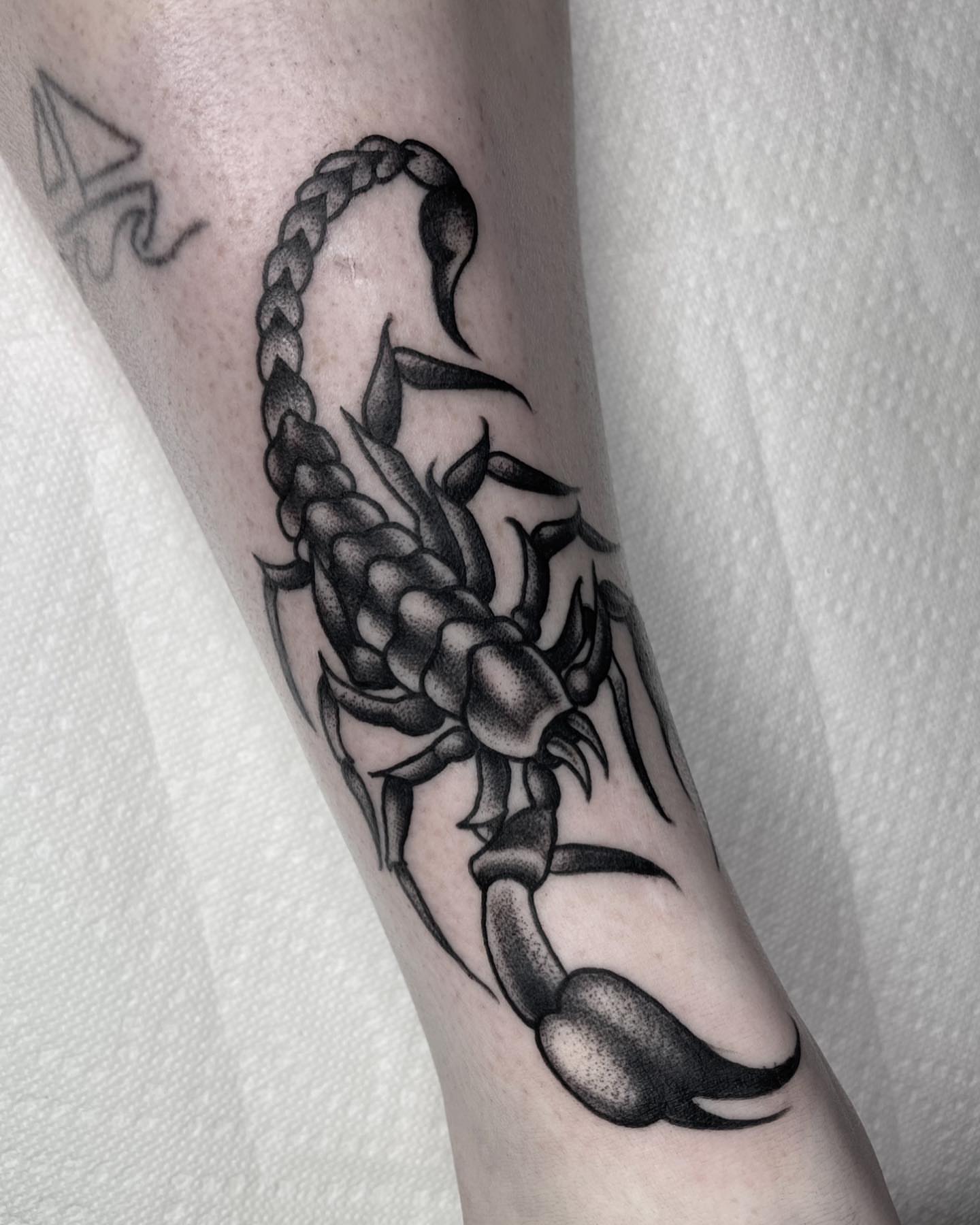 Scorpion black and grey tattoo on the forearm by Sofia Rose