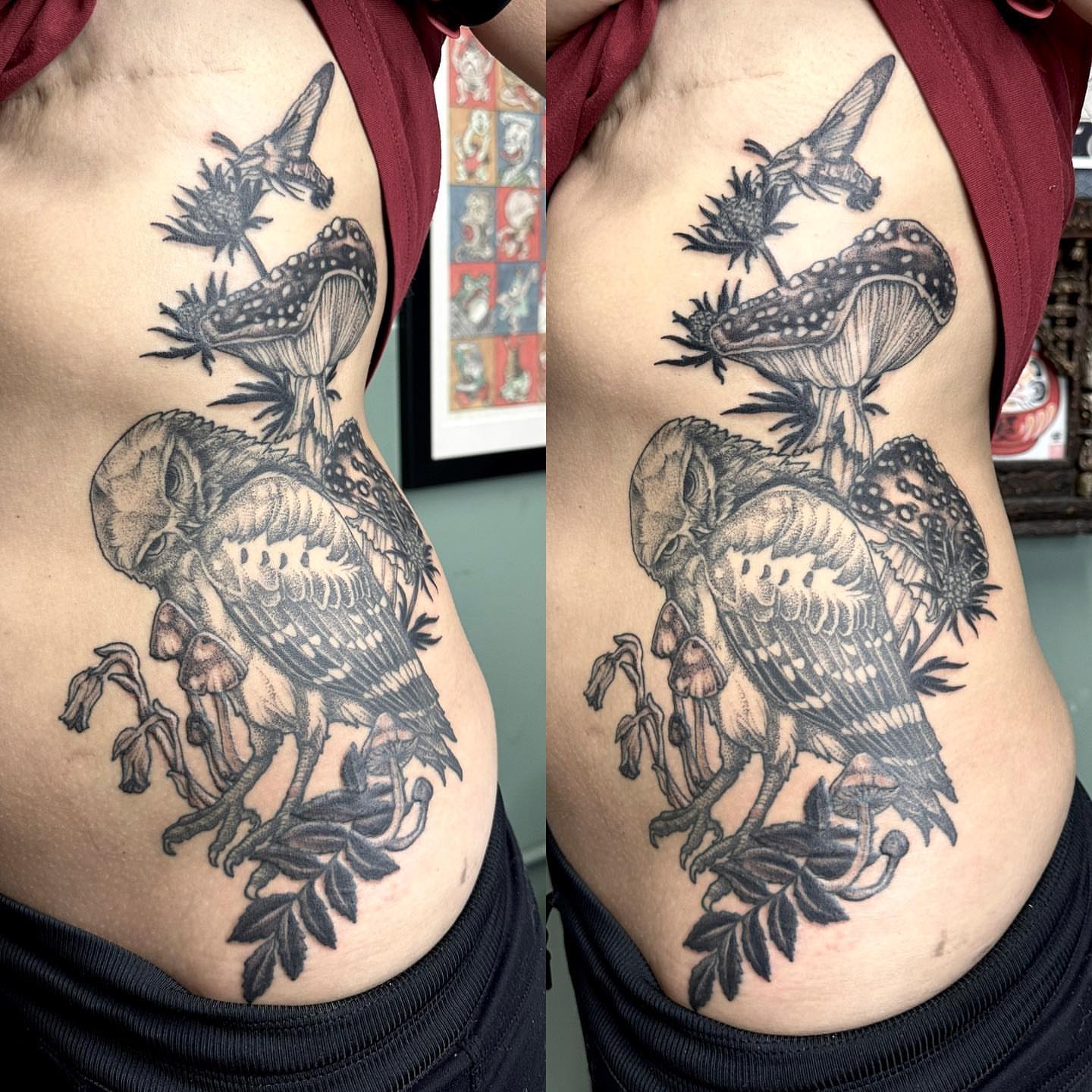 Owl and mushrooms realism tattoo on the ribs by Cassidy Depew, Seattle, Washington