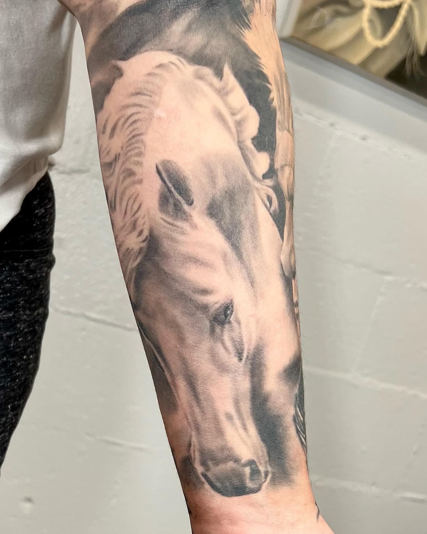 Horse realism tattoo on the forearm by Drew Foster, Toledo, Ohio