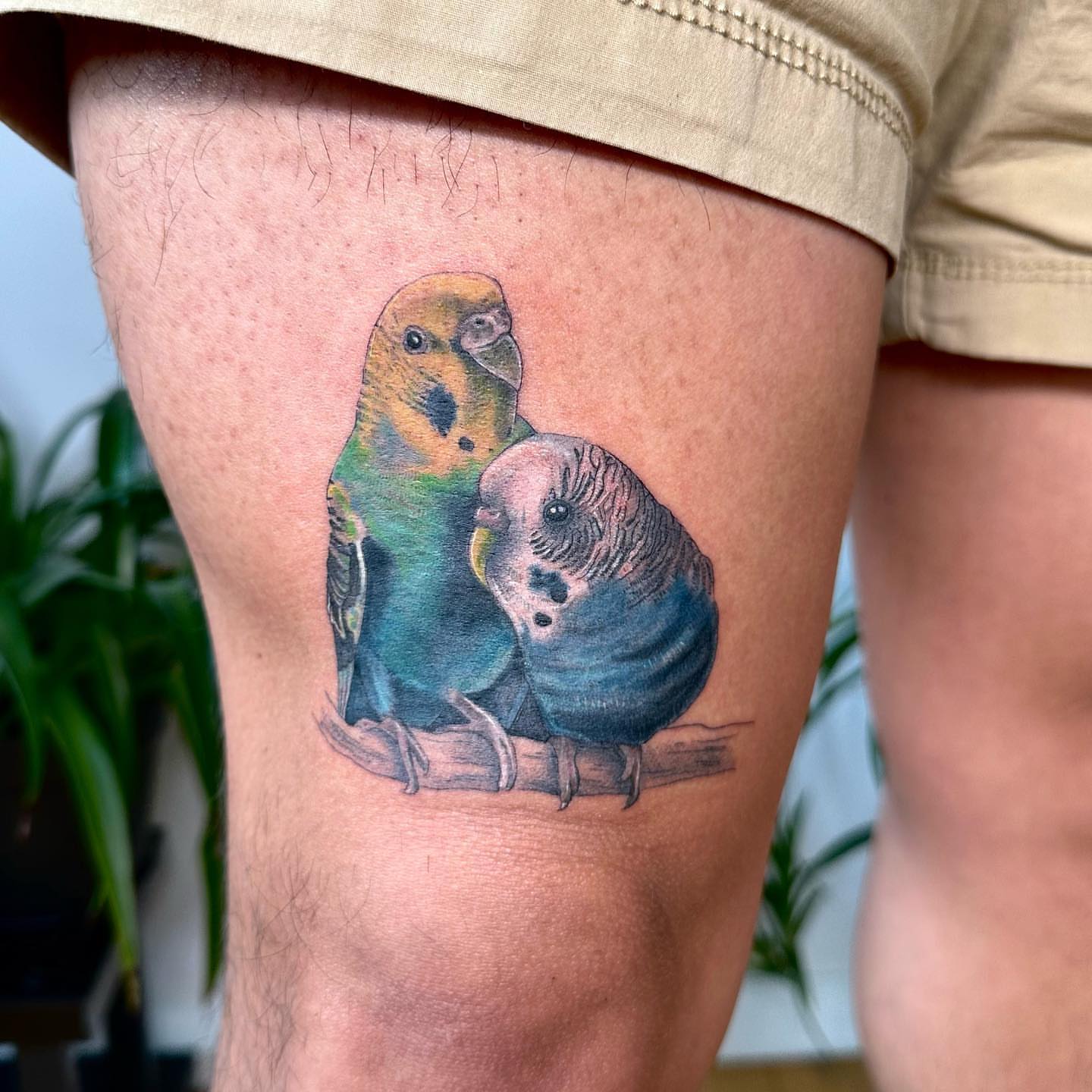 Tattoo by @artbyalyssacarbonara β realism