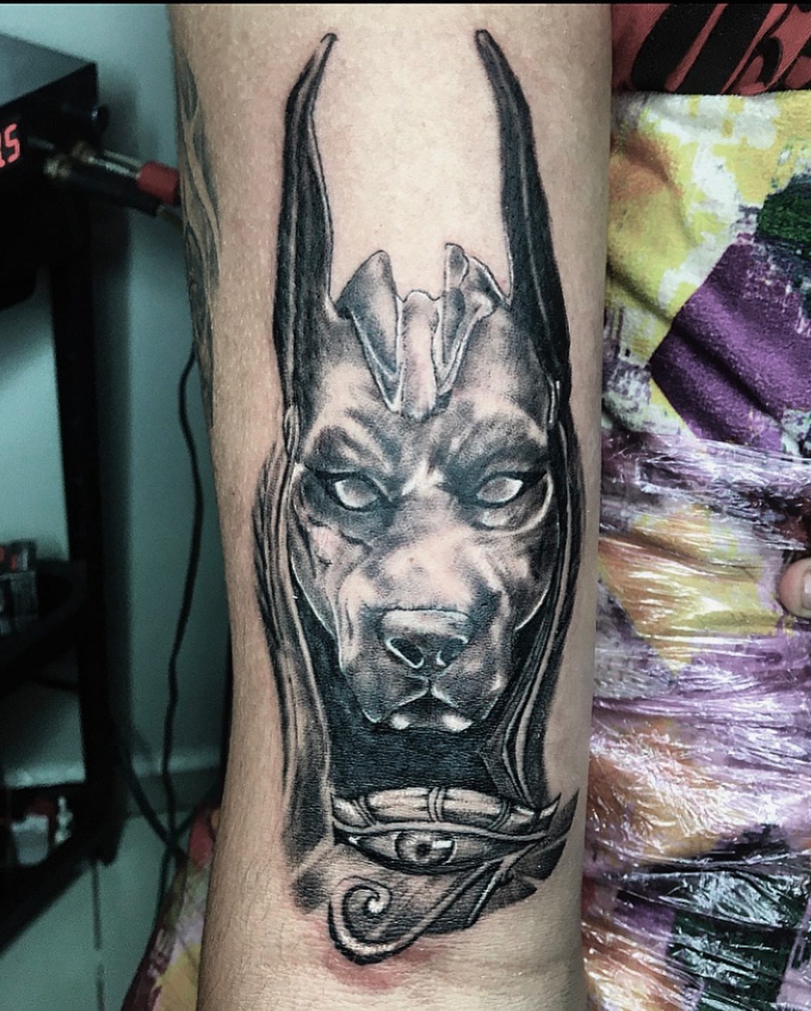 Dog with horns realism tattoo on the forearm by la flamme