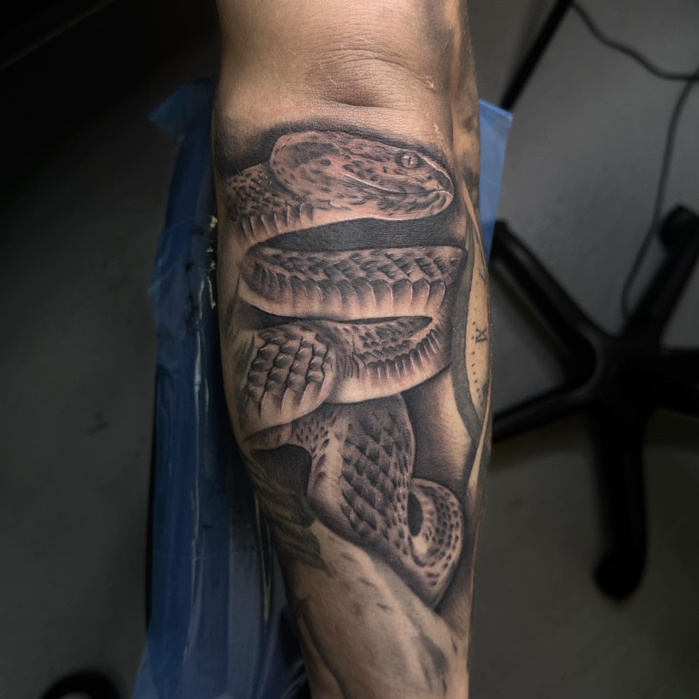 Snake black and grey tattoo on the forearm by Tattoosxjoseph