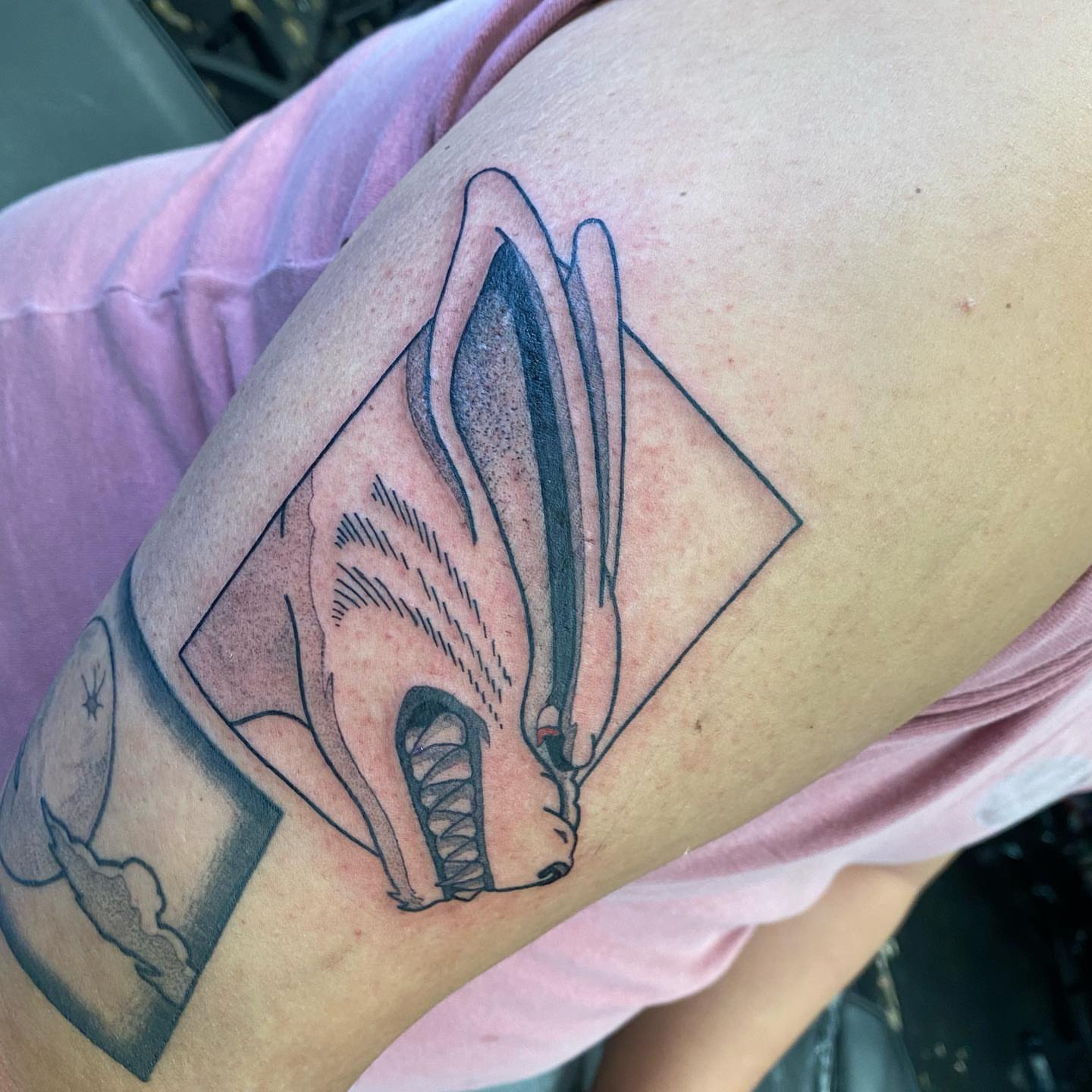 Rabbit dotwork tattoo on the forearm by S C O T T