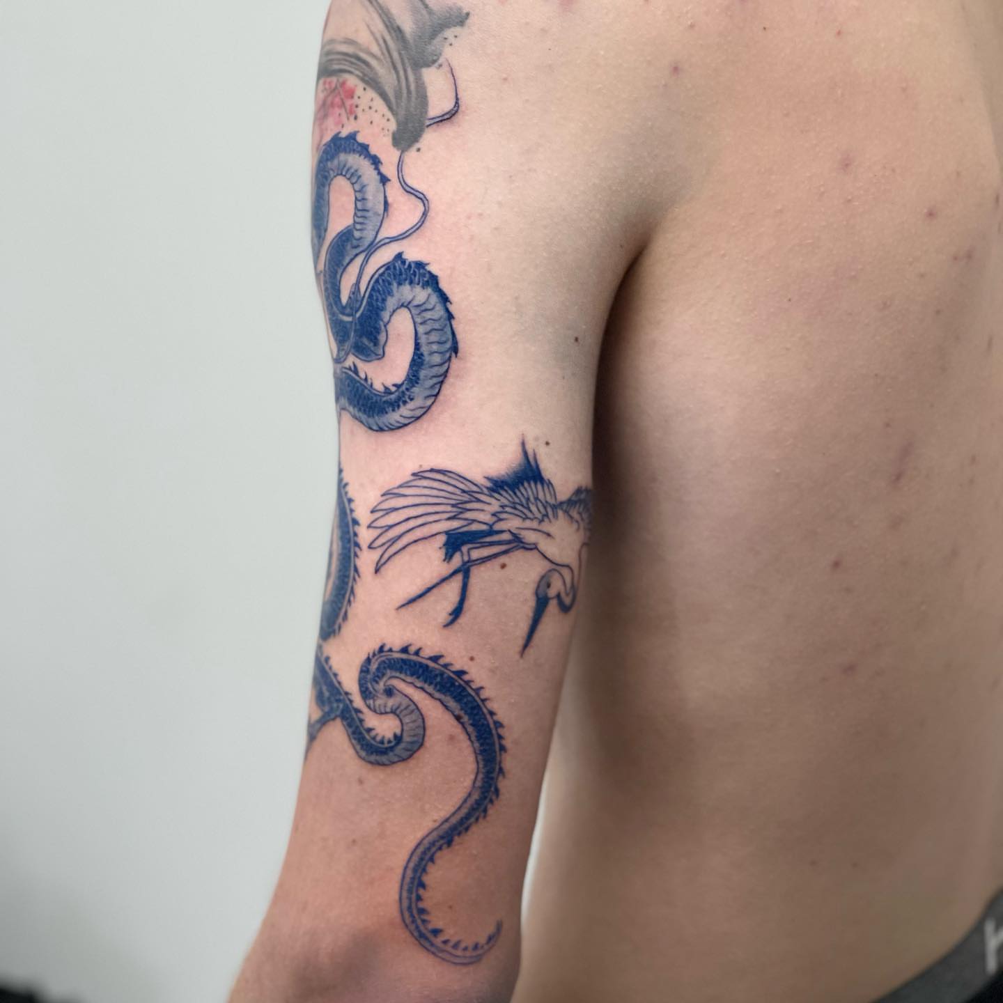 Dragon and phoenix neo-traditional tattoo on the forearm by Banky