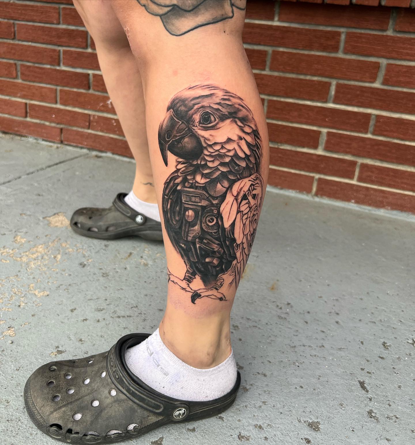 Parrot realism tattoo on the calf by Seth Scott