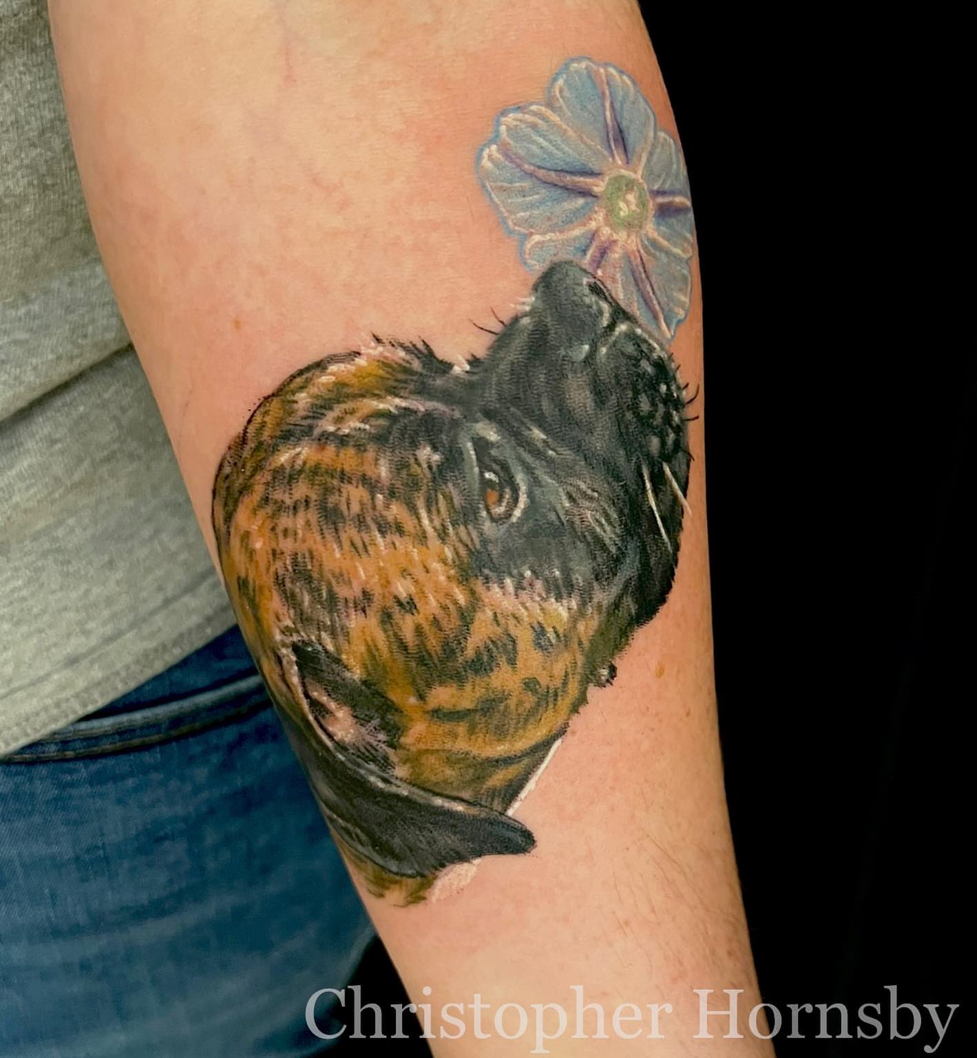 Guinea pig and flower realism tattoo on the forearm by Chris Hornsby