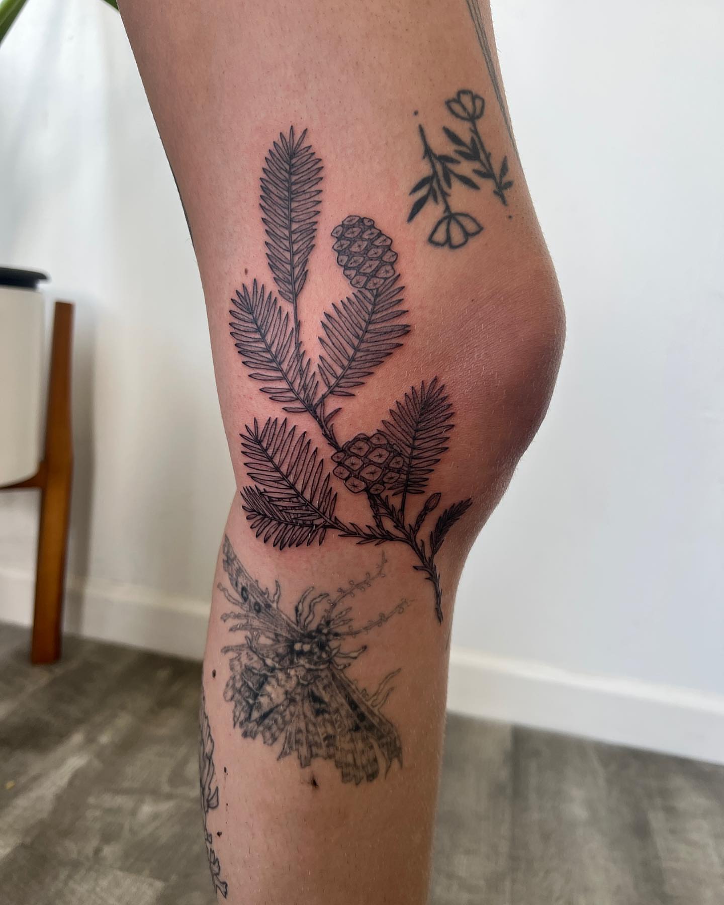 Tattoo by See See : botanical tattoo artist :, Berkeley, CA