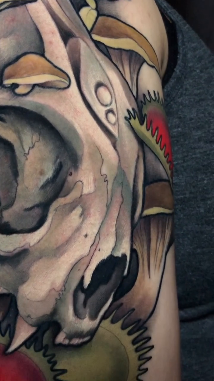 Skull with mushrooms and Venus flytraps realism tattoo by Evin Pfaff, Bedford, Pennsylvania