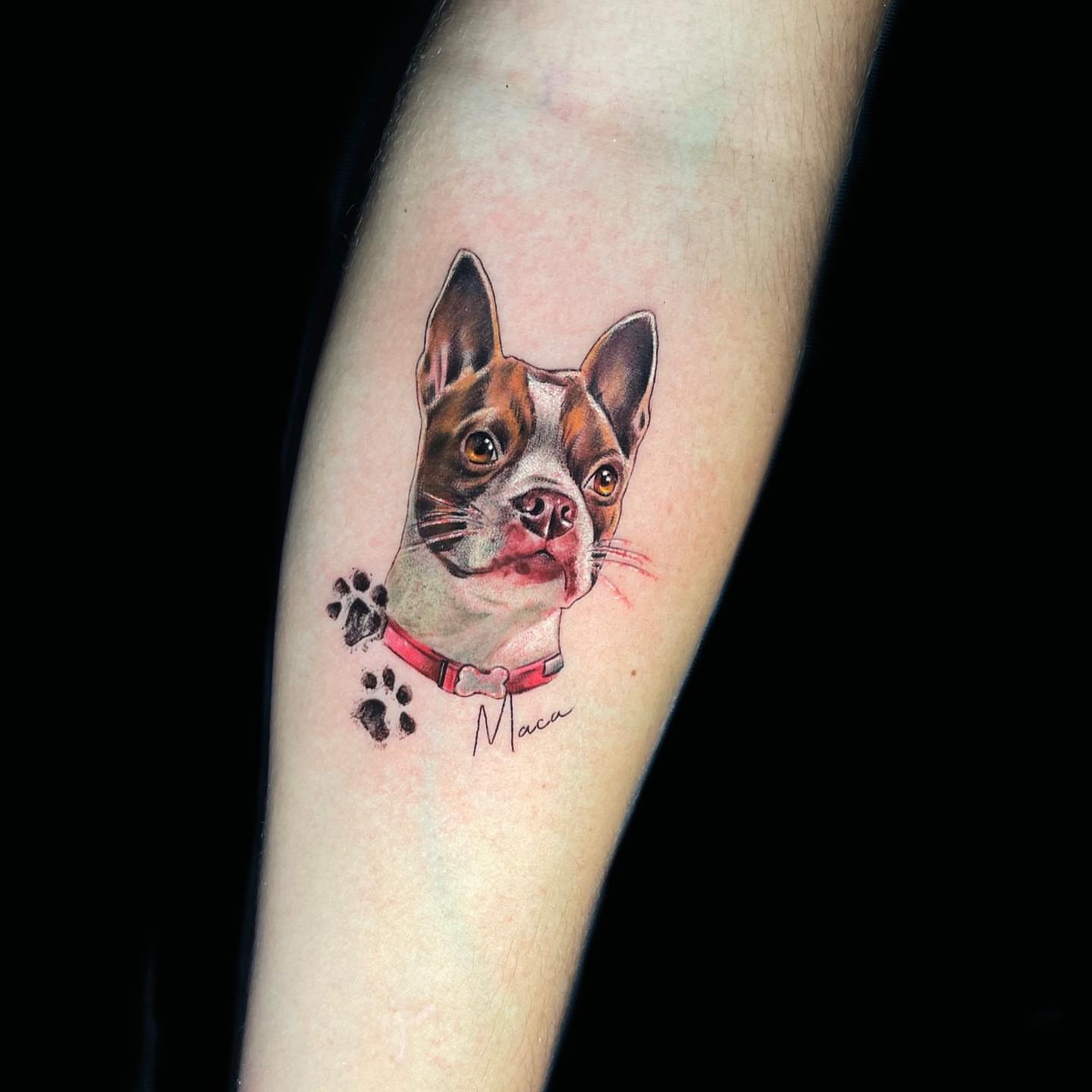 Dog portrait realism tattoo on the forearm by Daniela Duque Tattoo