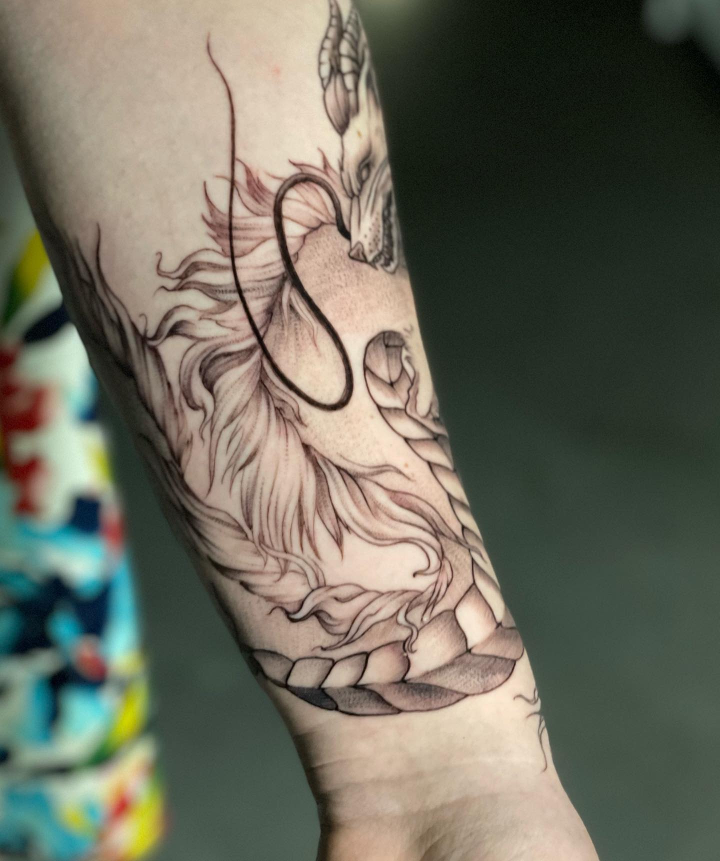 Lion black and grey tattoo on the forearm by Ksu Storm, San Francisco, California