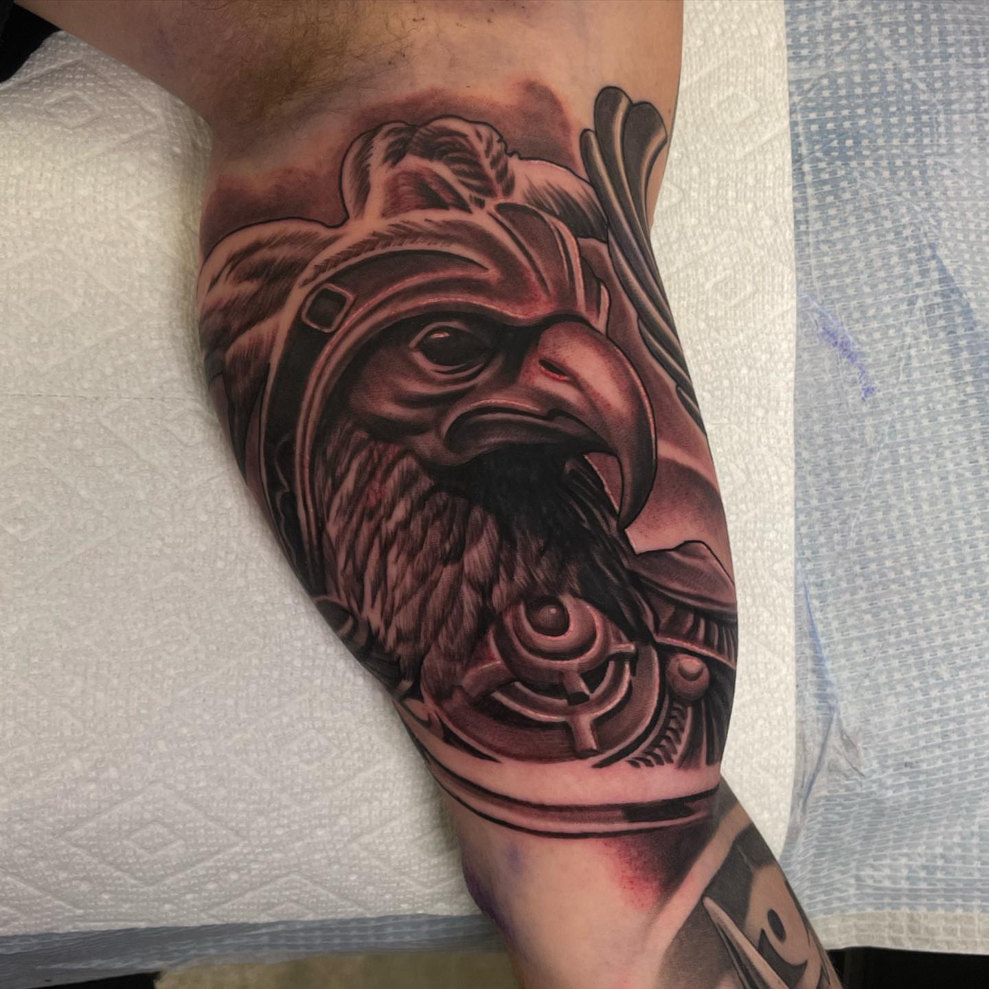Eagle realism tattoo on the forearm by Jake Fujimura
