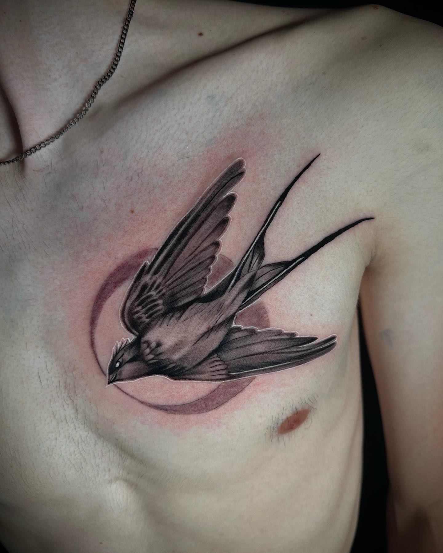 Swallow realism tattoo on the chest by Tiago Ink