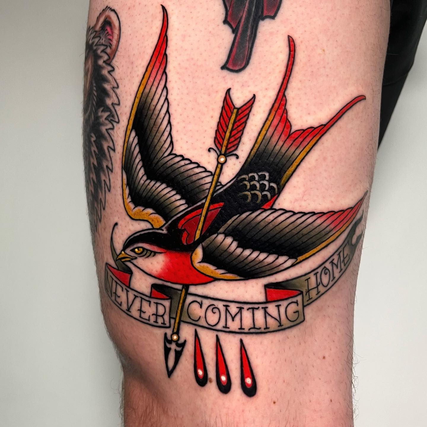 Swallow with arrow American traditional tattoo on the forearm by Sara Lewis