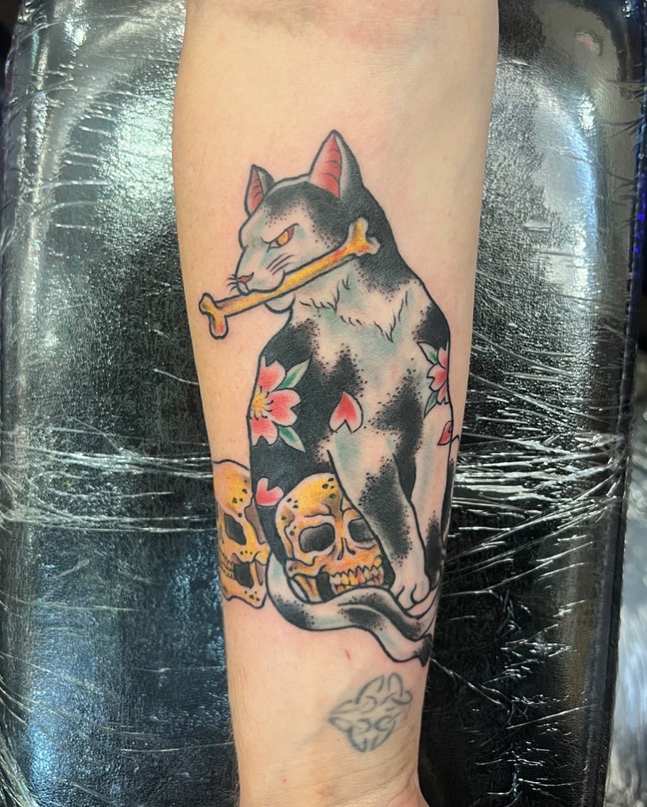 Cat with skulls American traditional tattoo on the forearm by Allie Tippets, Gilbert, Arizona