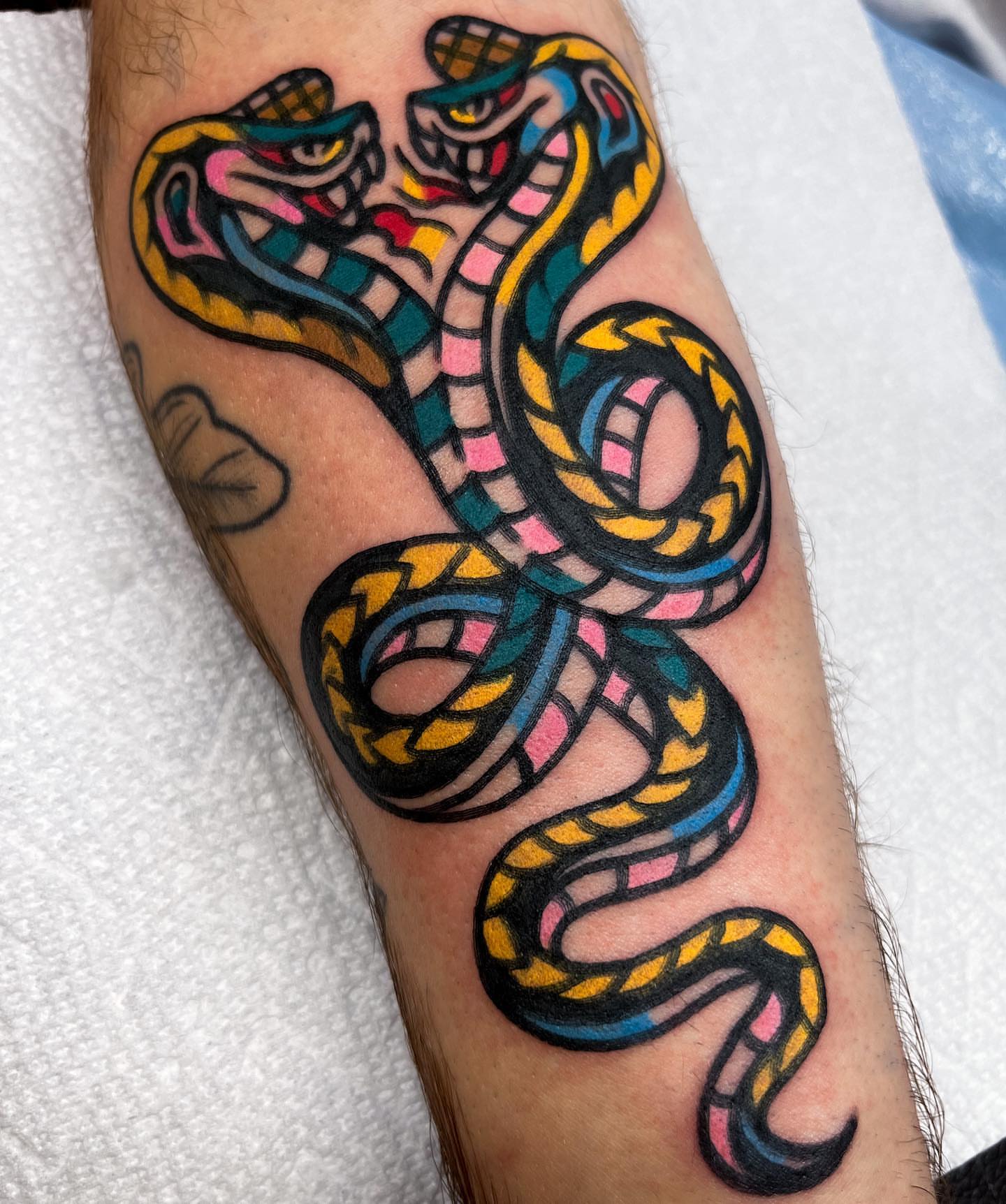 Snake new school tattoo on the forearm by Oldschool Tattooer Takii 타키