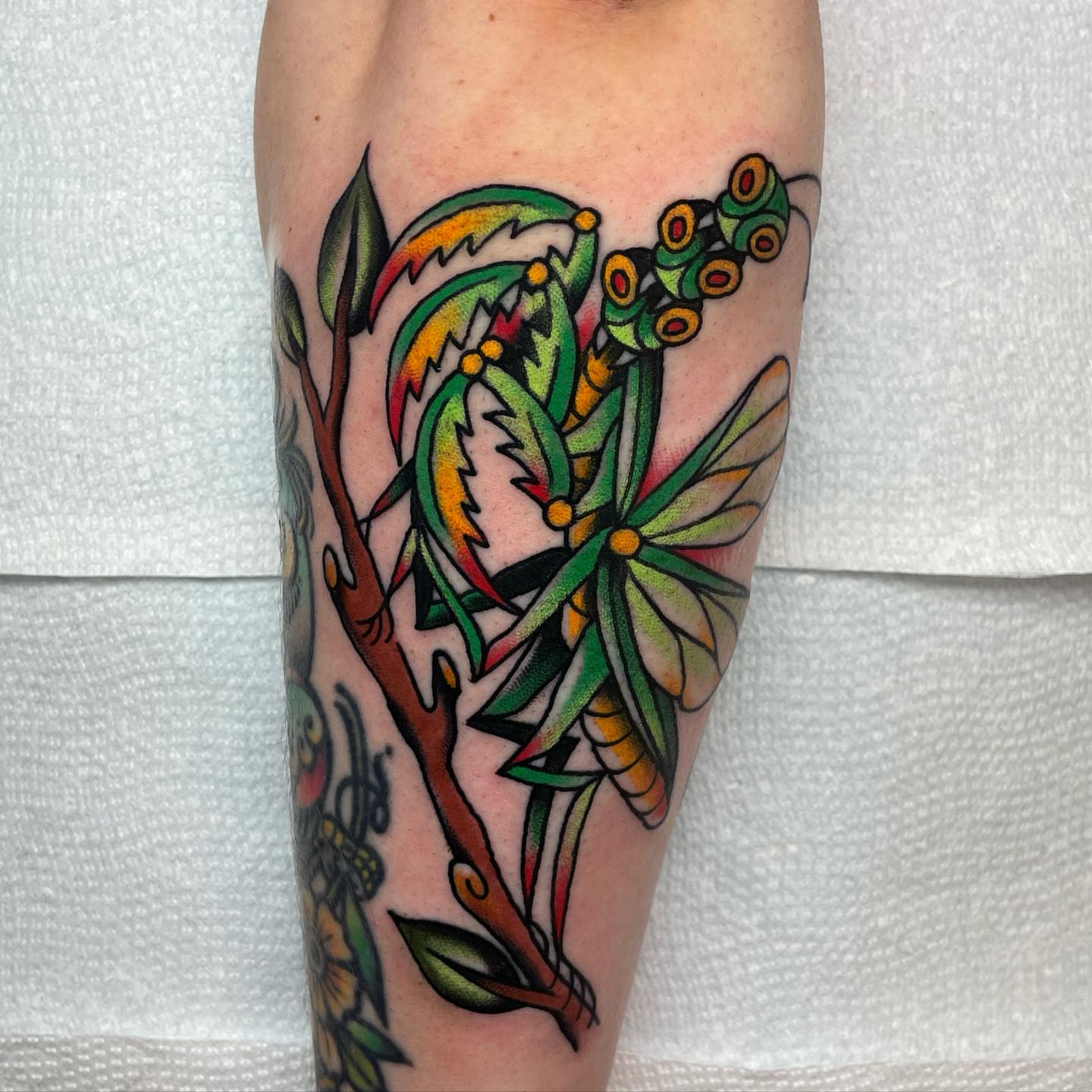 Botanical American traditional tattoo on the forearm by derrick b. π² Modern Traditional Tattoo