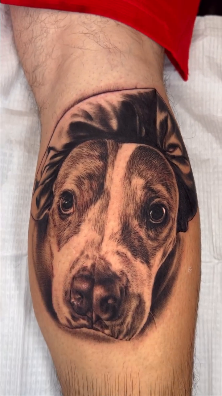 Dog portrait realism tattoo by Sloe Rivera
