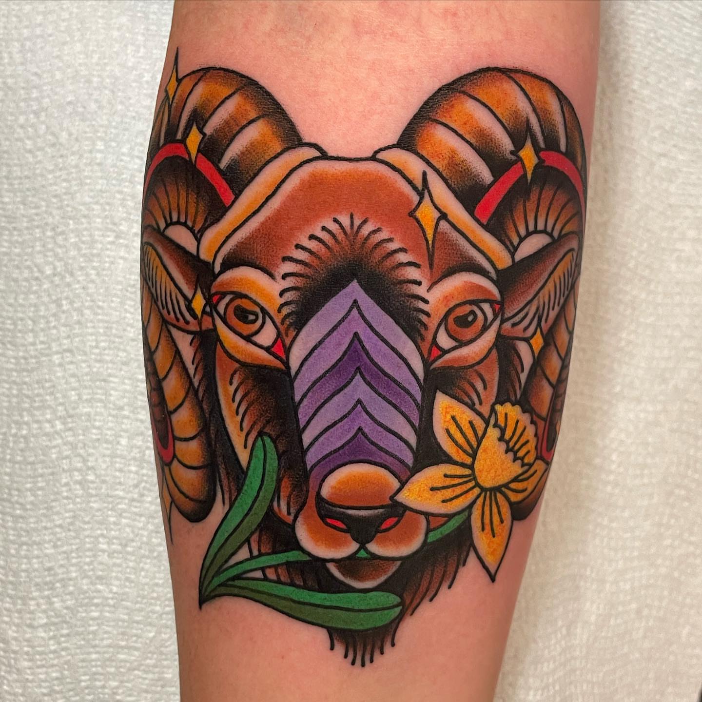 Ram head American traditional tattoo on the forearm by derrick b. π² Modern Traditional Tattoo