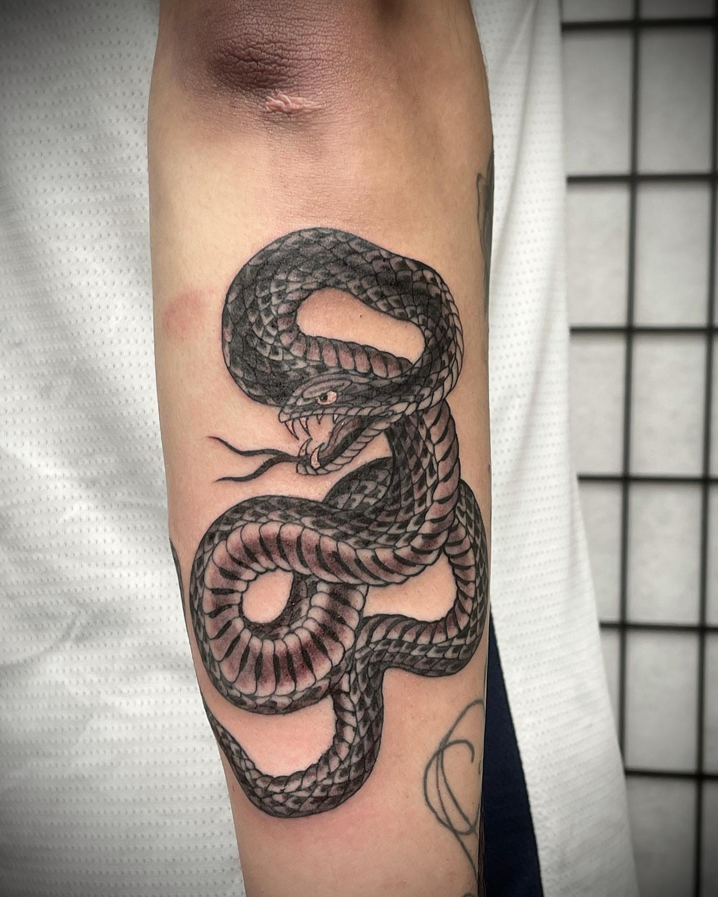 Snake black and grey tattoo on the forearm by Mister Joe Joe Frisco Tattoo, San Francisco, California