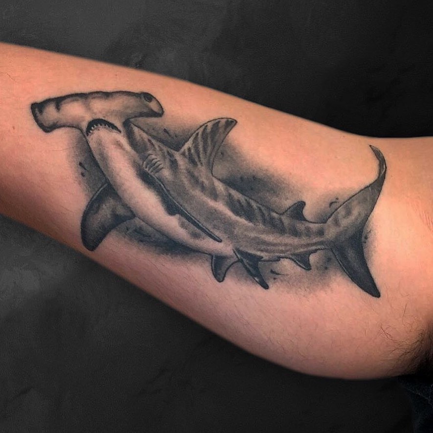 Hammerhead shark realism tattoo on the forearm by Bryan Humphries